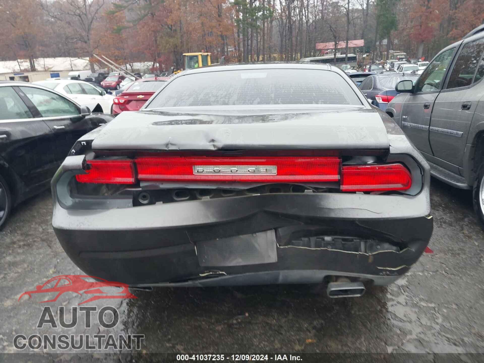 DODGE CHALLENGER 2014 - 2C3CDYAG7EH304462