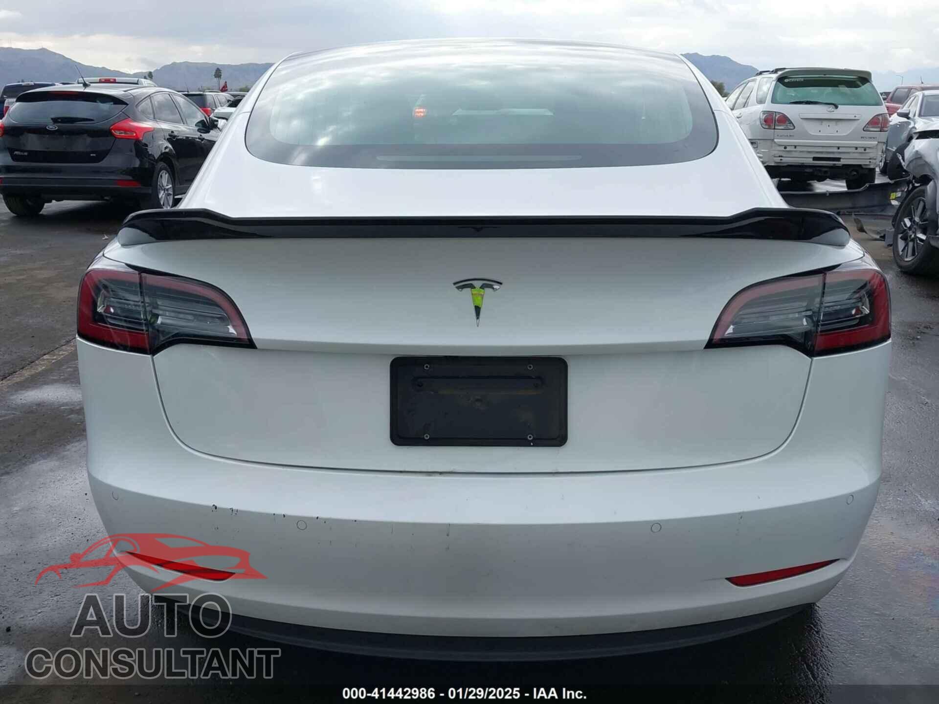 TESLA MODEL 3 2020 - 5YJ3E1EA6LF613512
