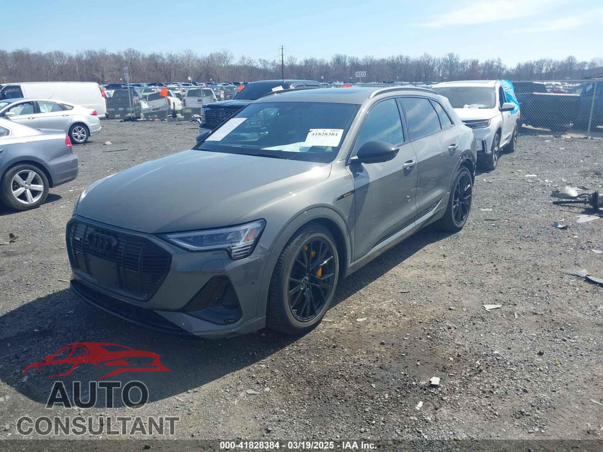 AUDI E-TRON 2022 - WA1VABGEXNB024392