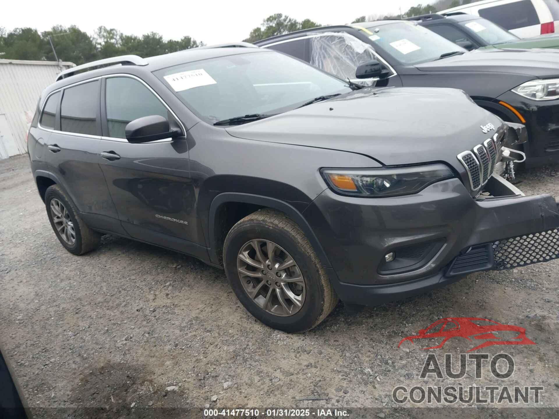JEEP CHEROKEE 2019 - 1C4PJMLB2KD113945