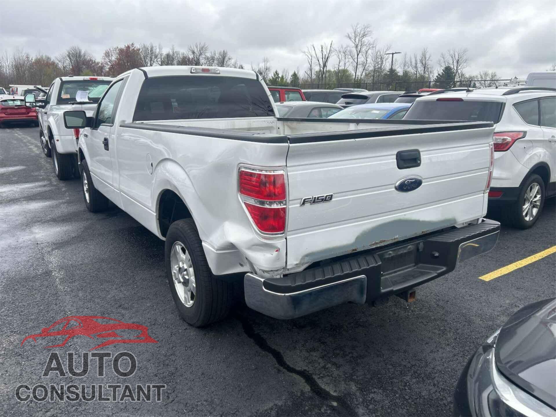 FORD F-150 2010 - 1FTNF1CV3AKE50569