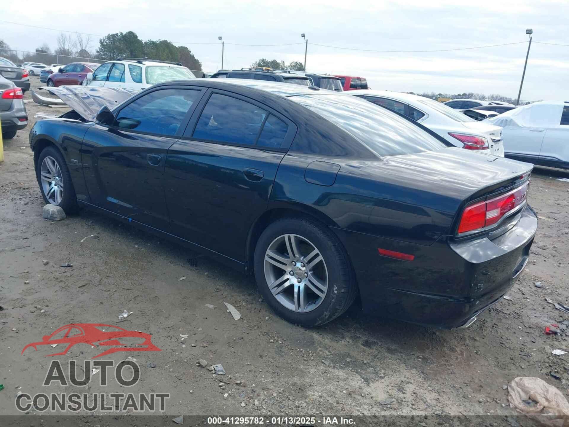 DODGE CHARGER 2014 - 2C3CDXCT0EH184587