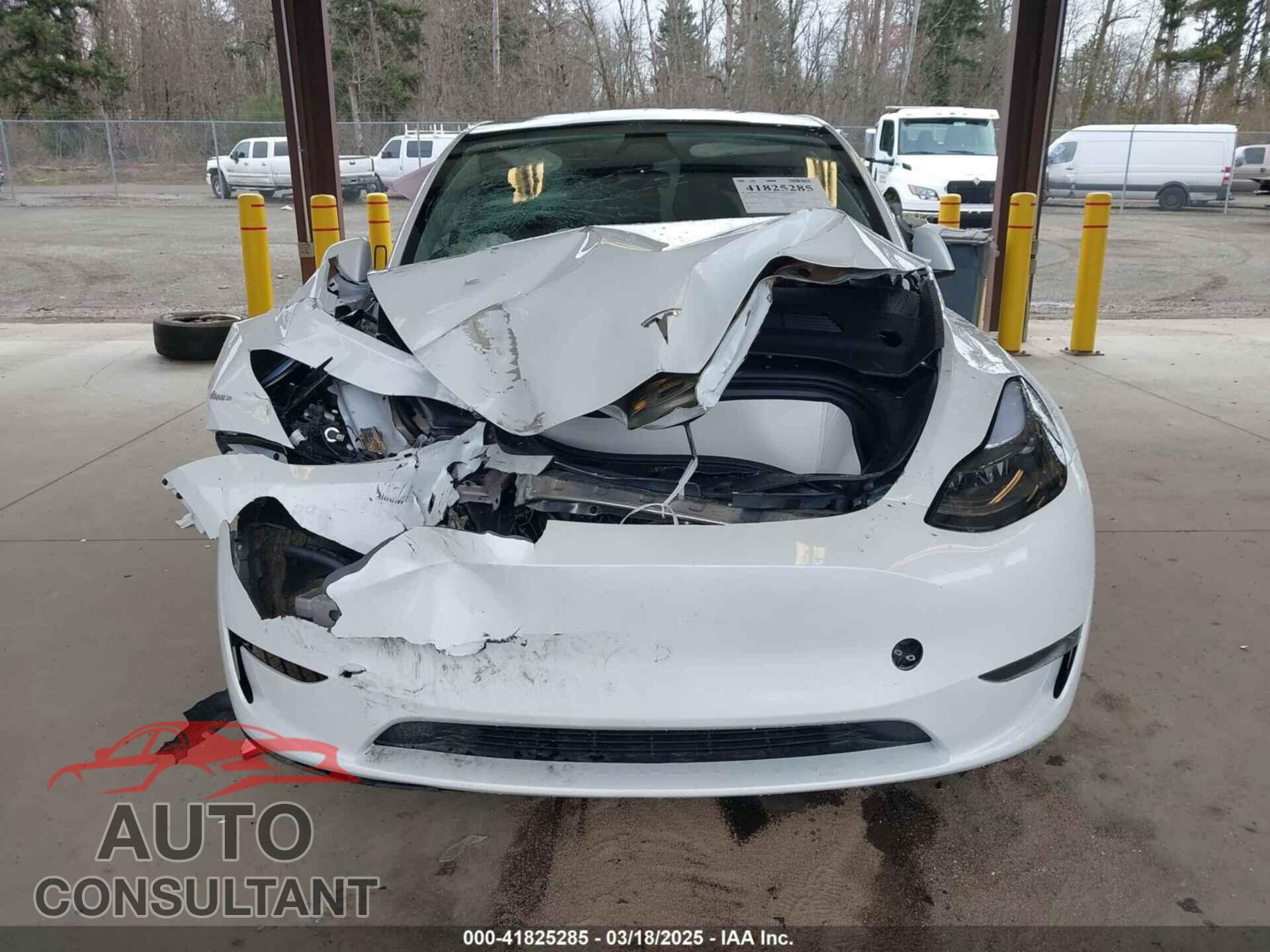 TESLA MODEL Y 2024 - 7SAYGDEE1RF047064