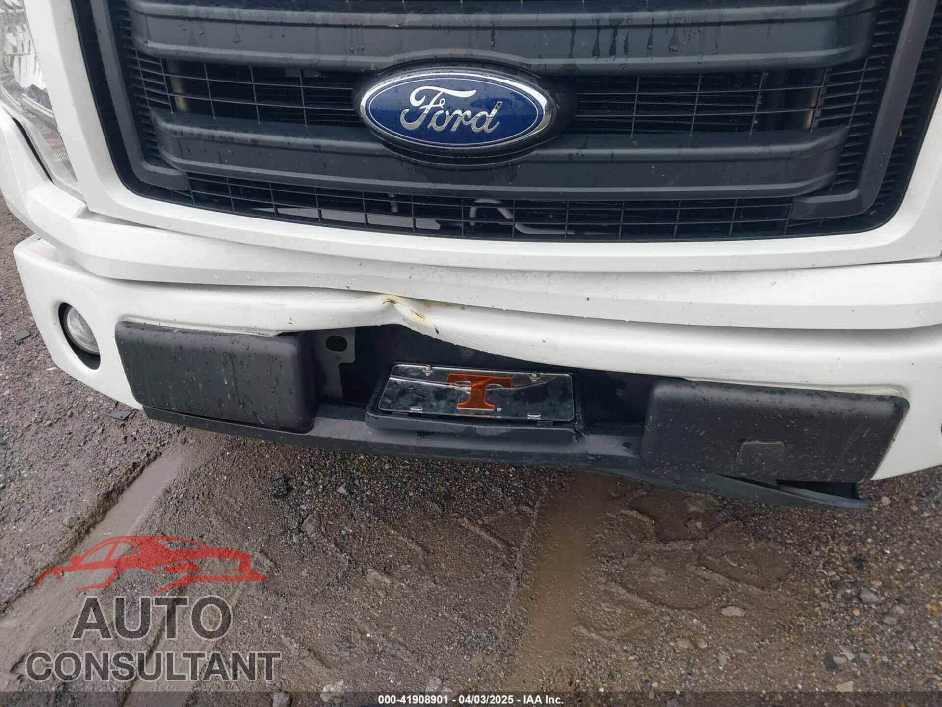 FORD F-150 2013 - 1FTFX1CF2DFC61497