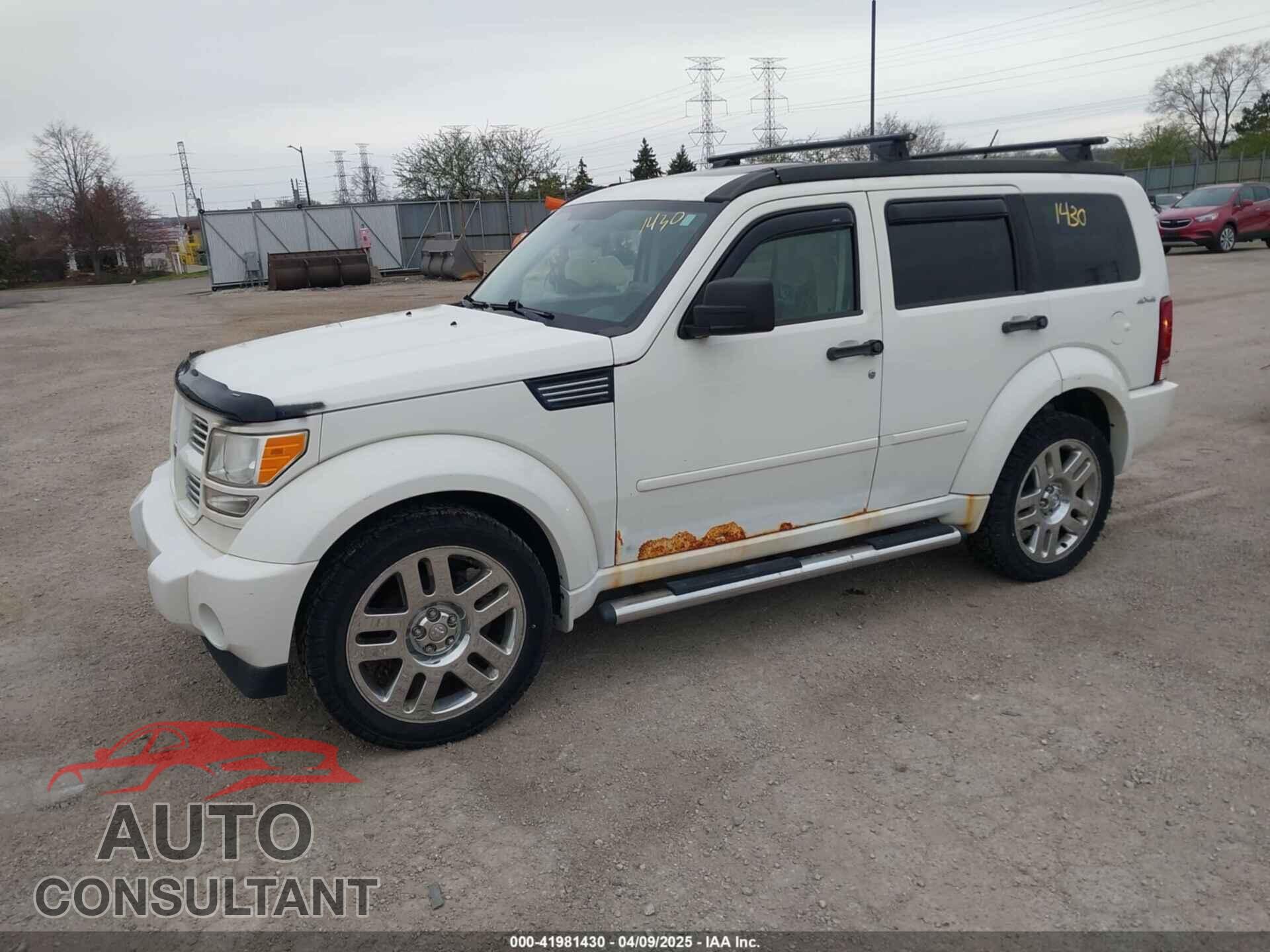 DODGE NITRO 2009 - 1D8GU58X69W515677