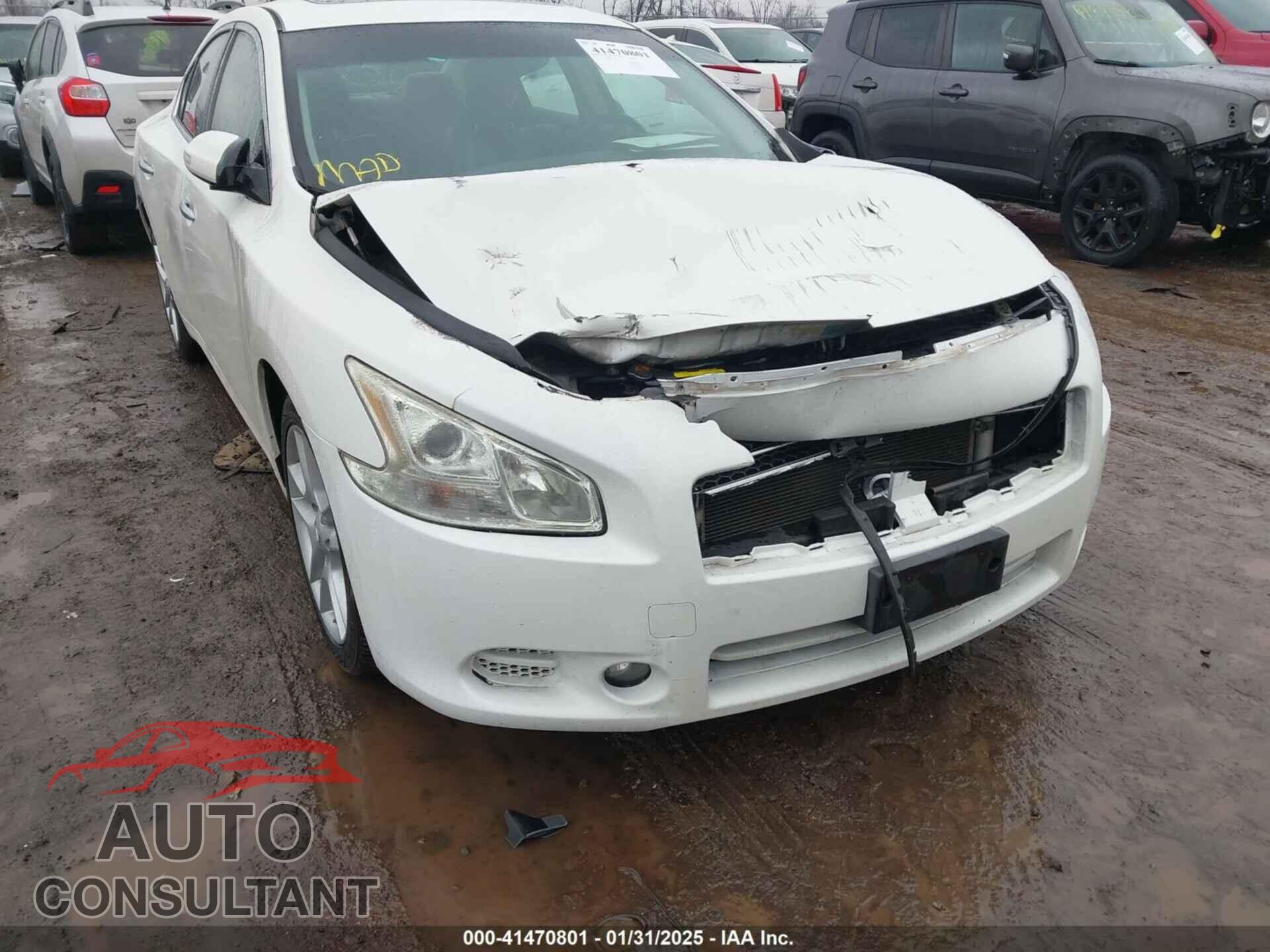 NISSAN MAXIMA 2011 - 1N4AA5AP1BC813803