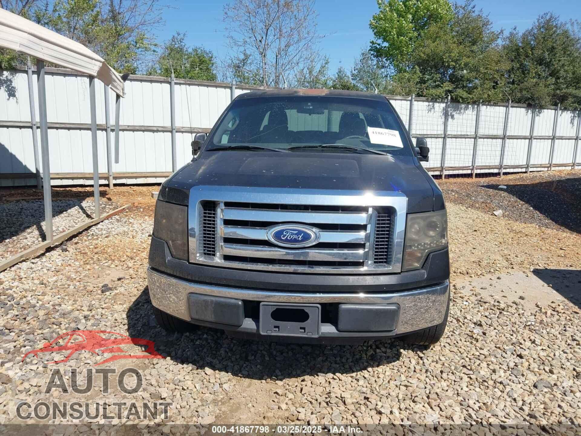 FORD F-150 2010 - 1FTEW1C8XAKA16739
