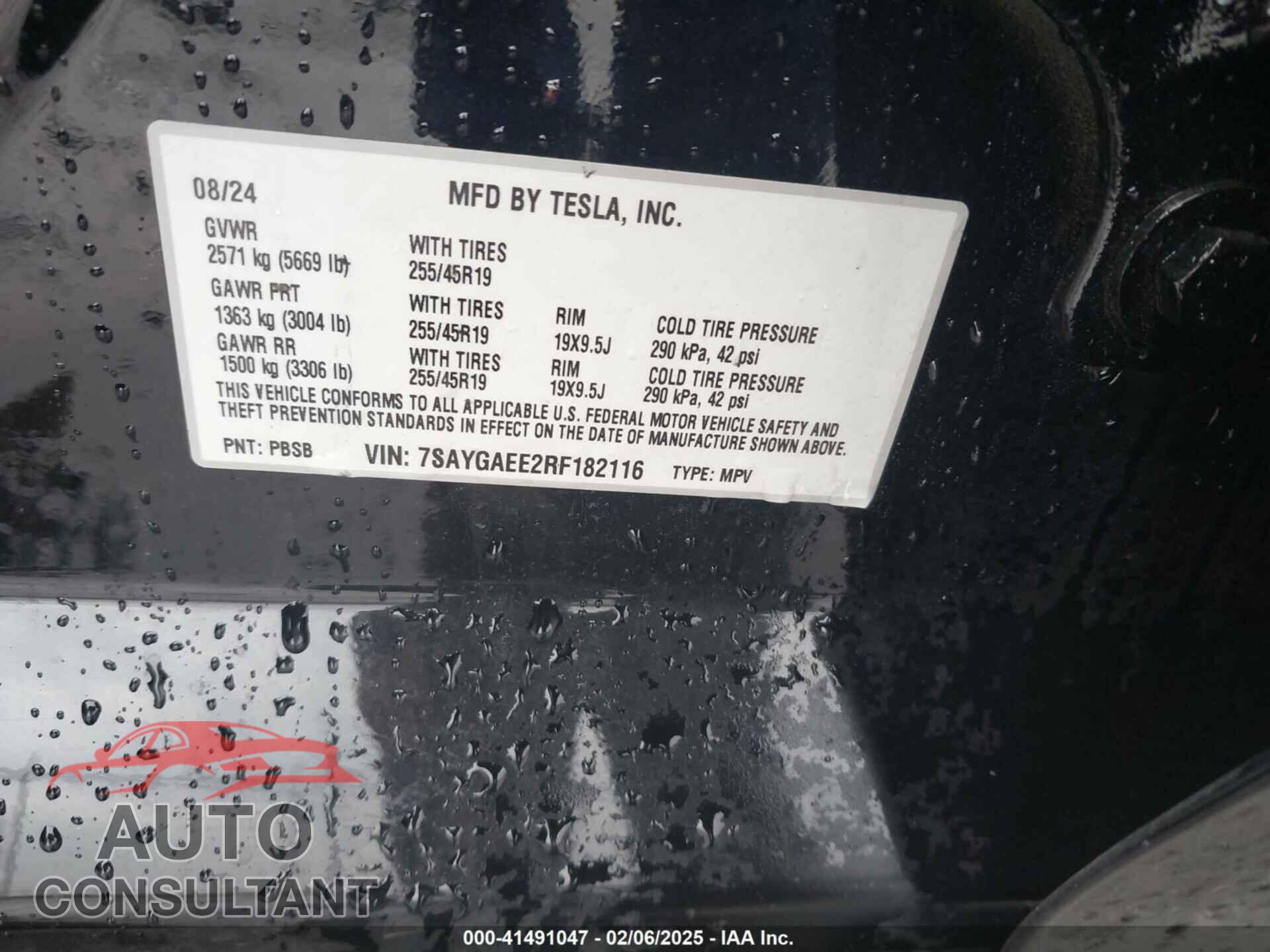 TESLA MODEL Y 2024 - 7SAYGAEE2RF182116