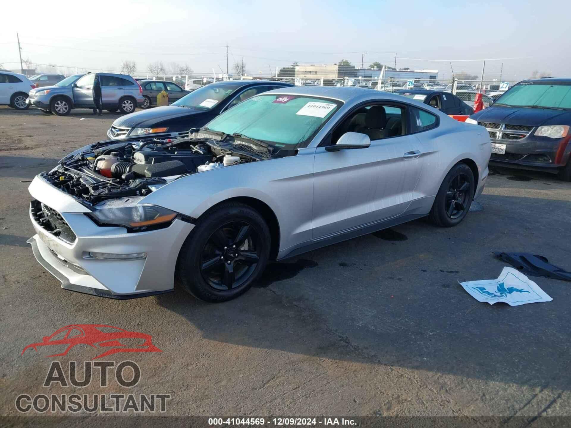 FORD MUSTANG 2019 - 1FA6P8TH4K5196588