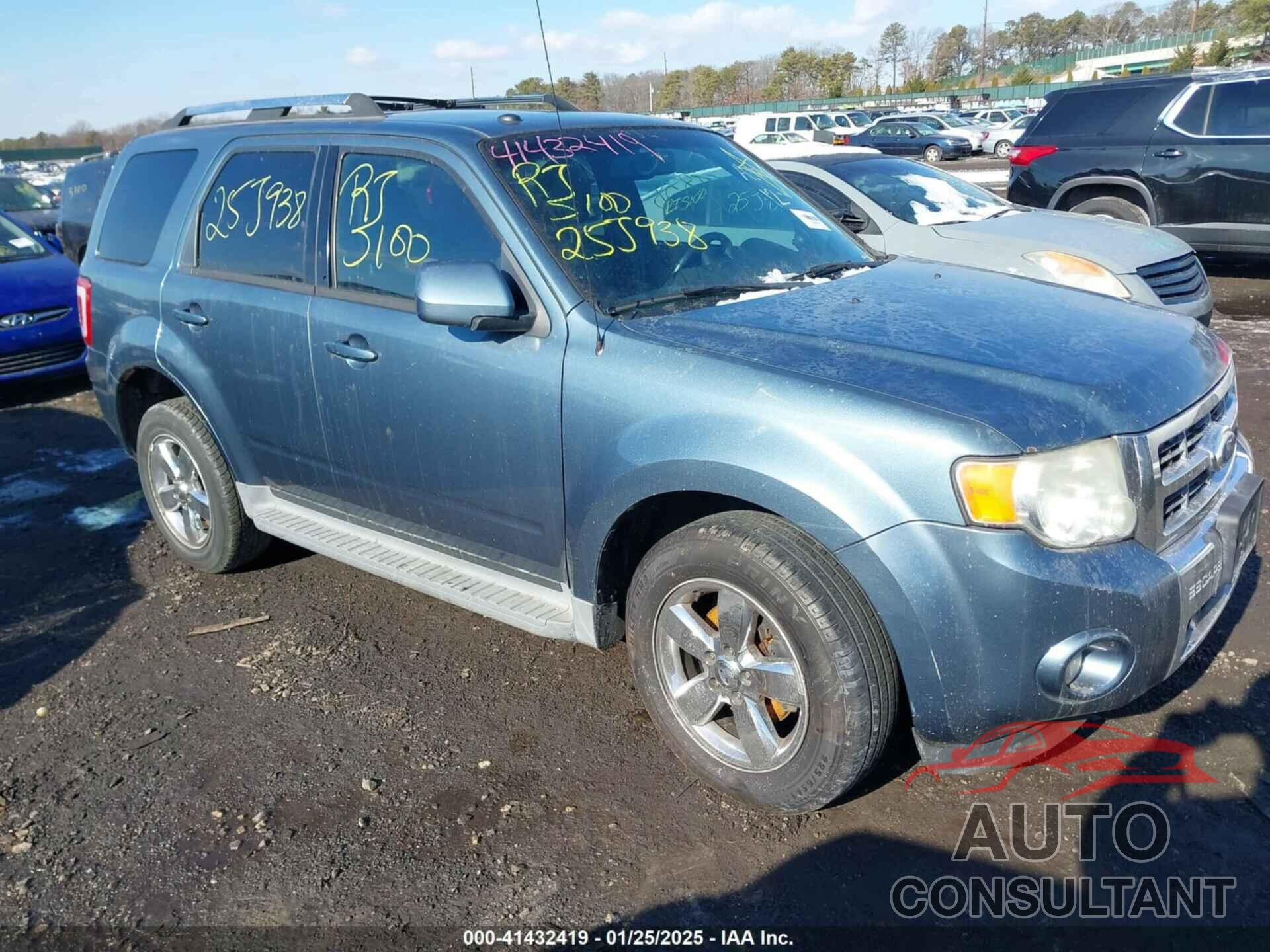 FORD ESCAPE 2011 - 1FMCU9EG3BKA52026