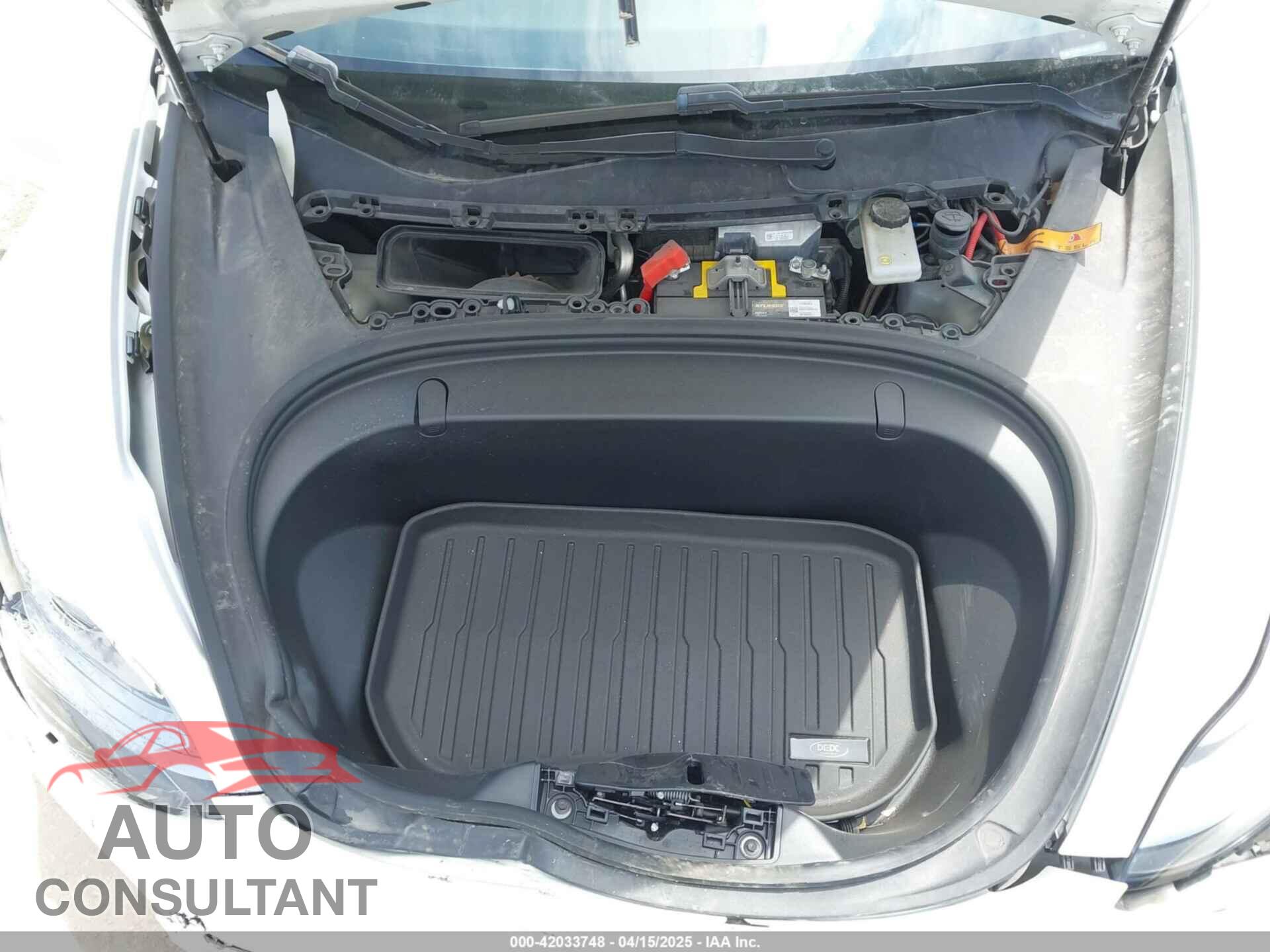 TESLA MODEL 3 2019 - 5YJ3E1EA8KF299991