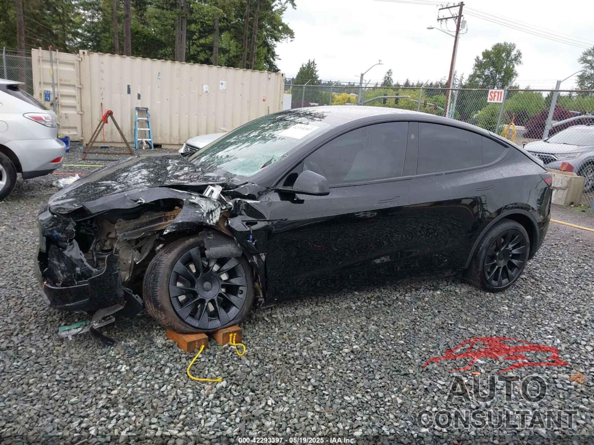 TESLA MODEL Y 2024 - 7SAYGDEE1RF033066