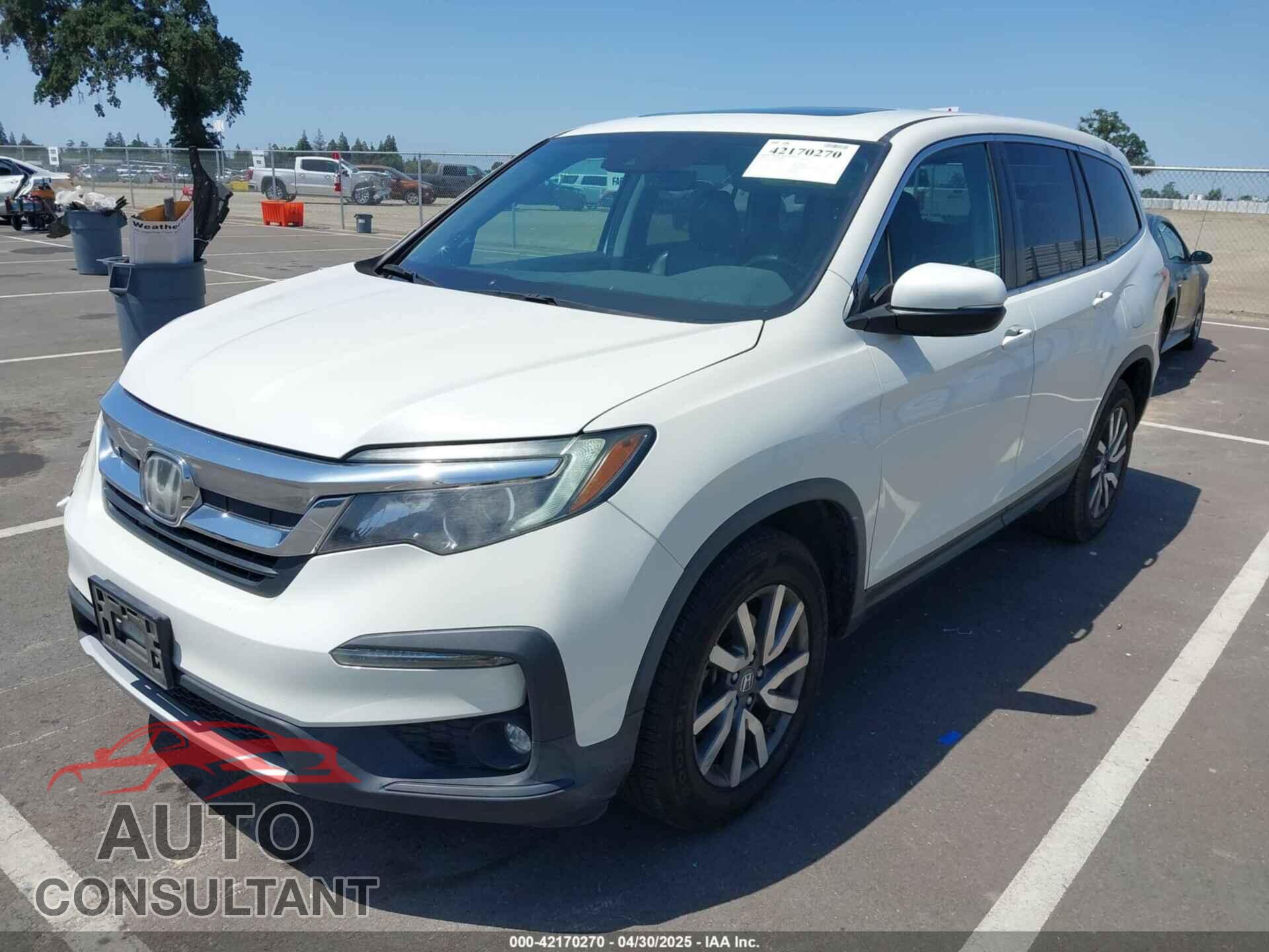HONDA PILOT 2019 - 5FNYF5H54KB018519