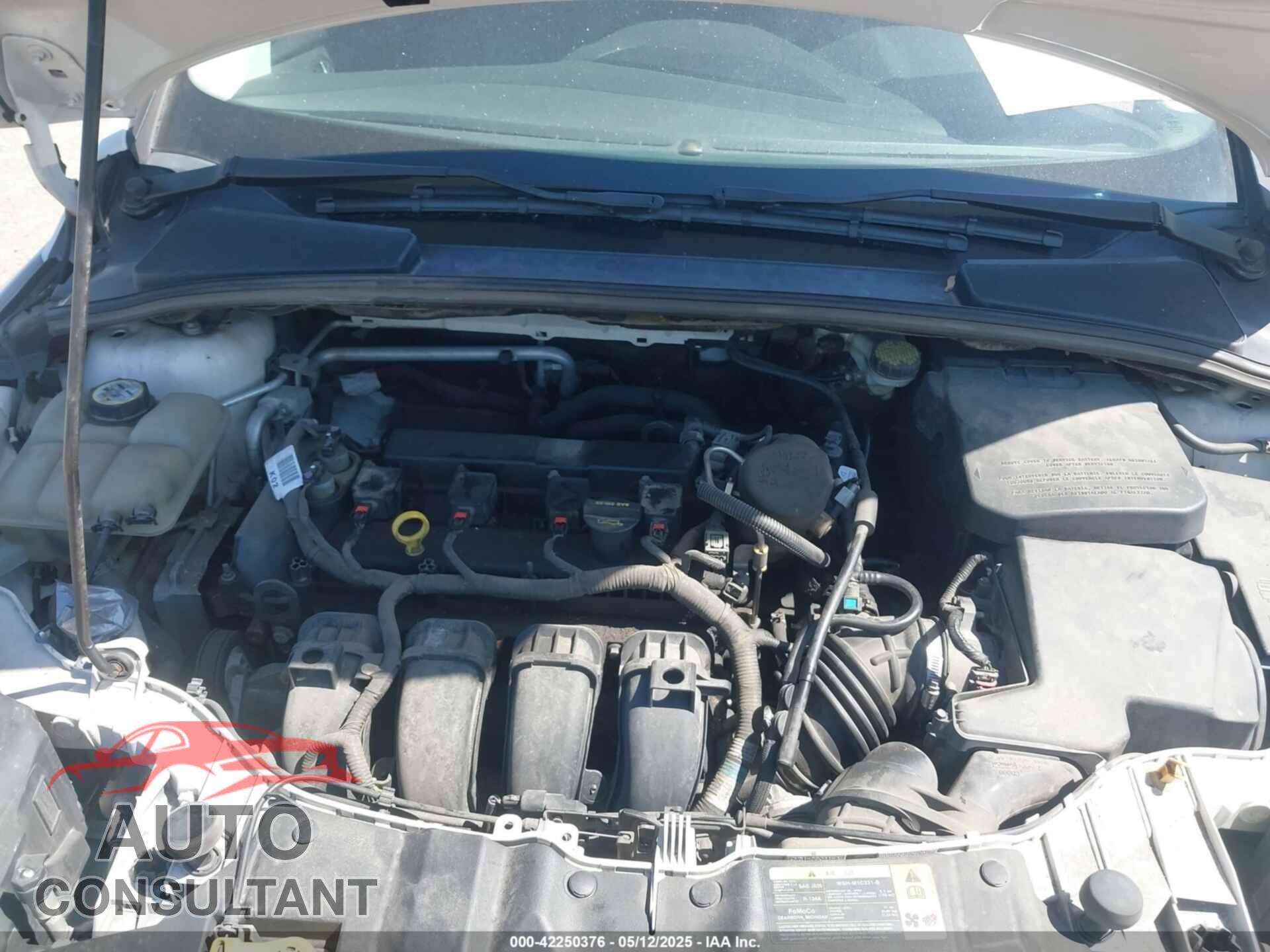FORD FOCUS 2013 - 1FADP3J26DL116120