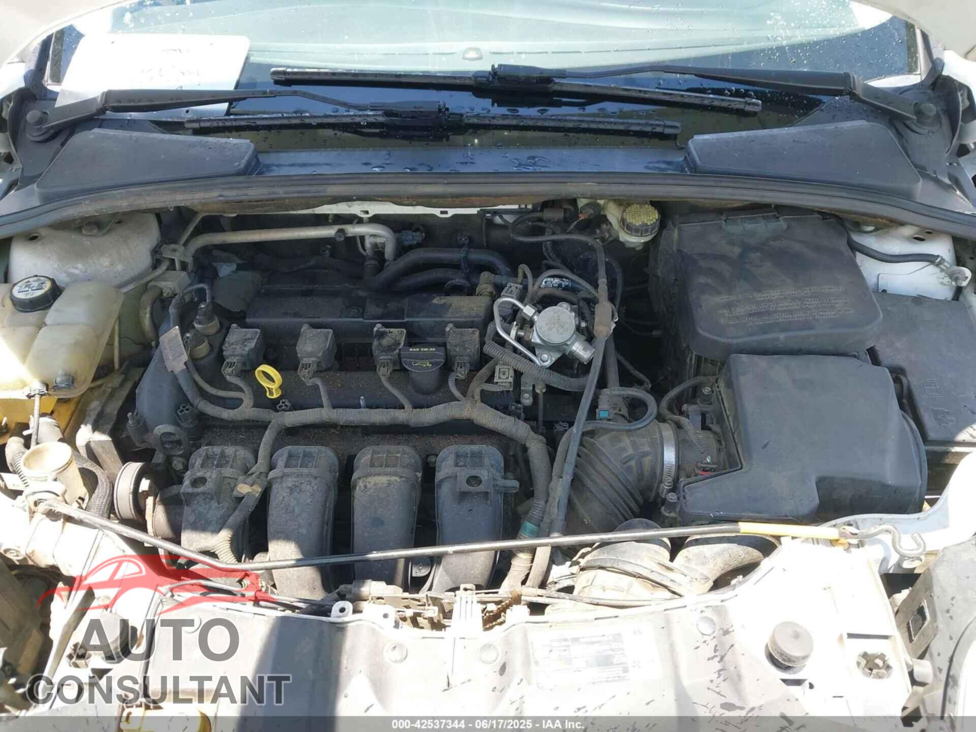 FORD FOCUS 2012 - 1FAHP3H26CL430985