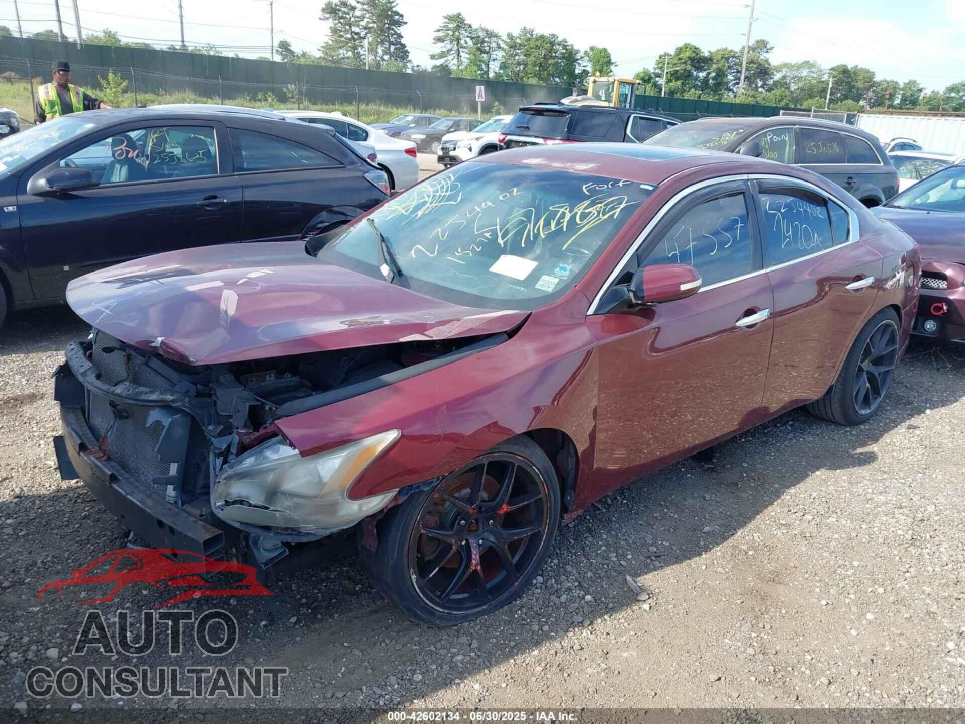 NISSAN MAXIMA 2009 - 1N4AA51E49C826540
