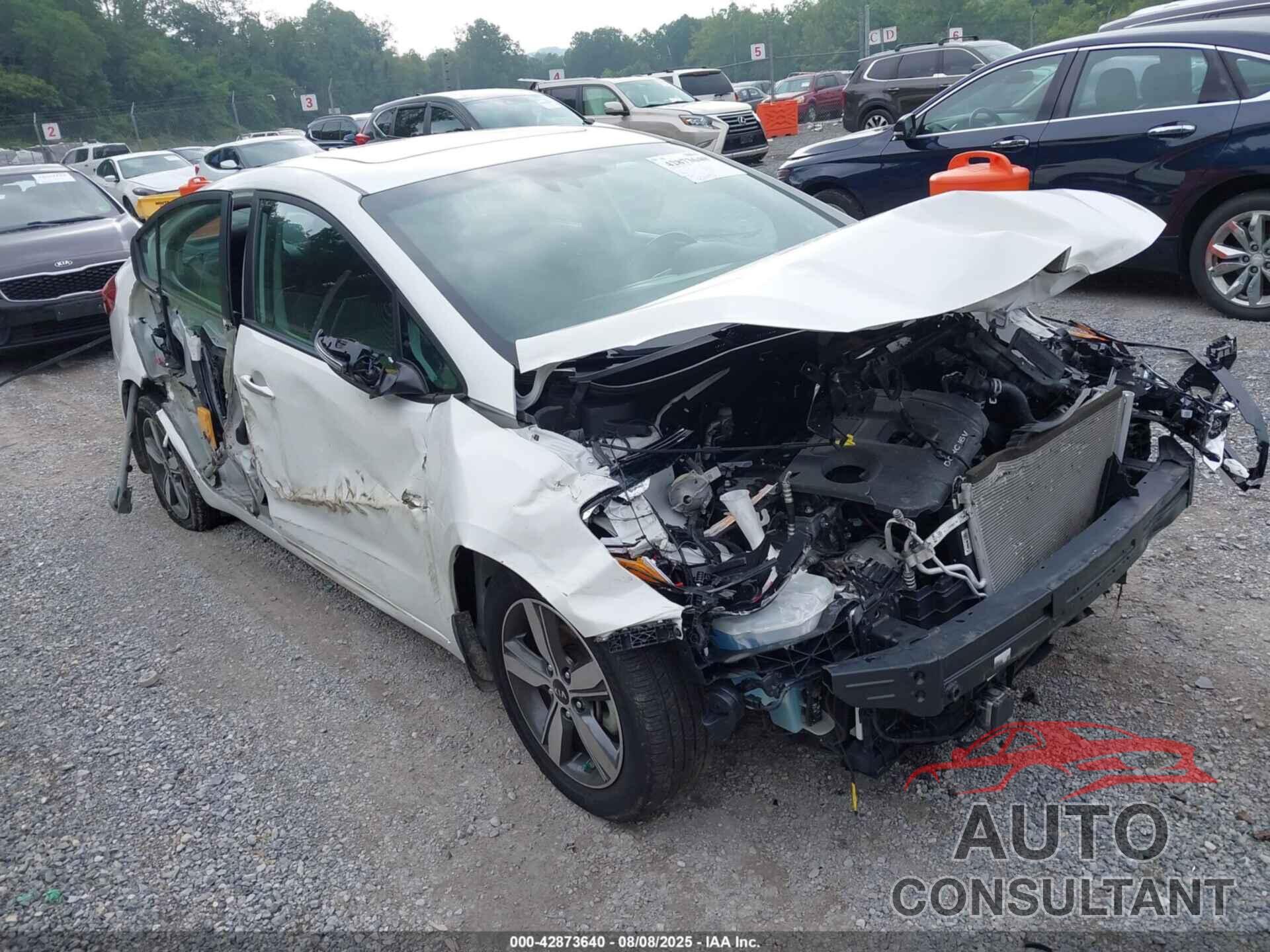 KIA FORTE 2018 - 3KPFL4A70JE234667