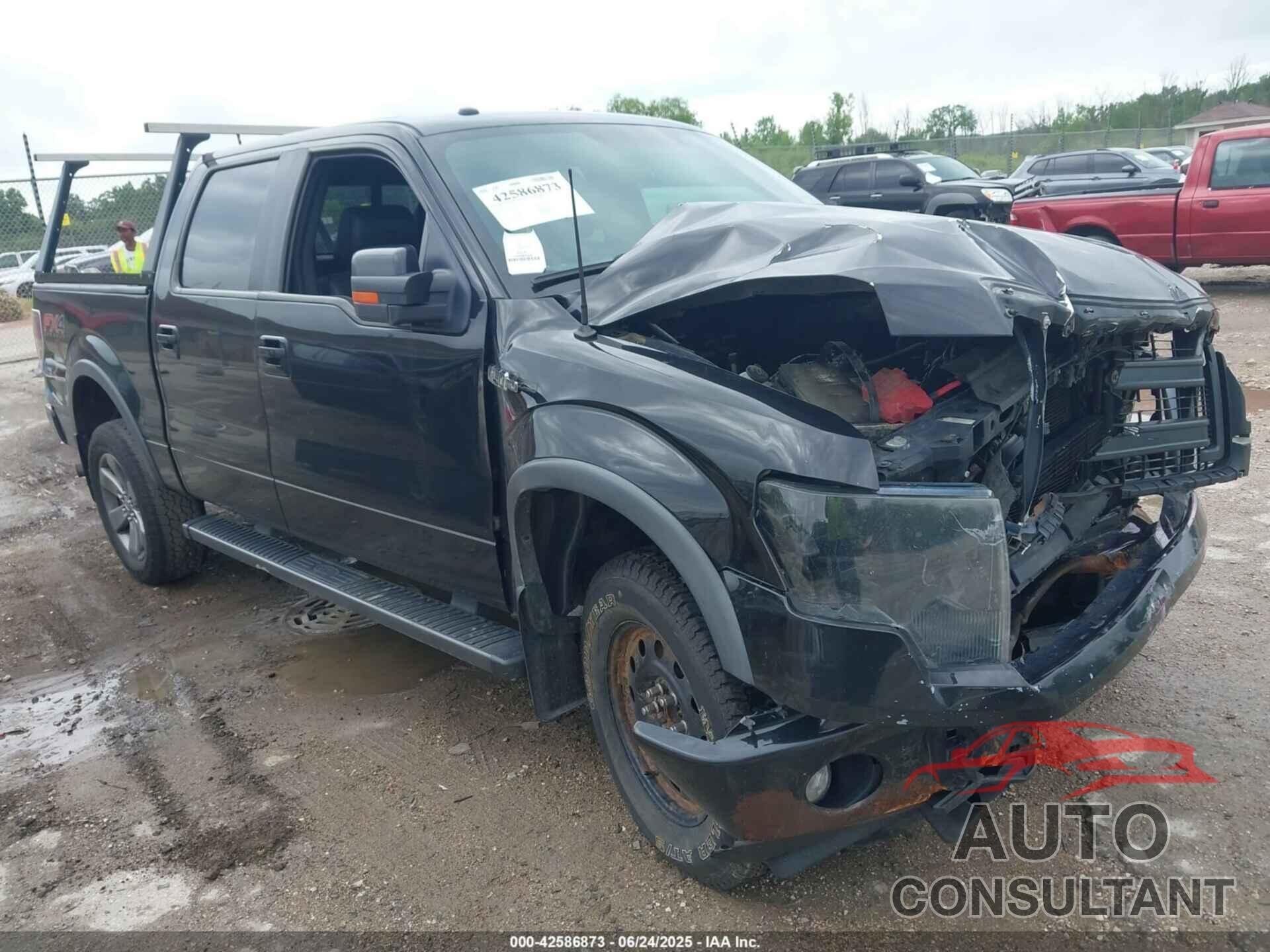 FORD F-150 2014 - 1FTFW1EF3EKE36459