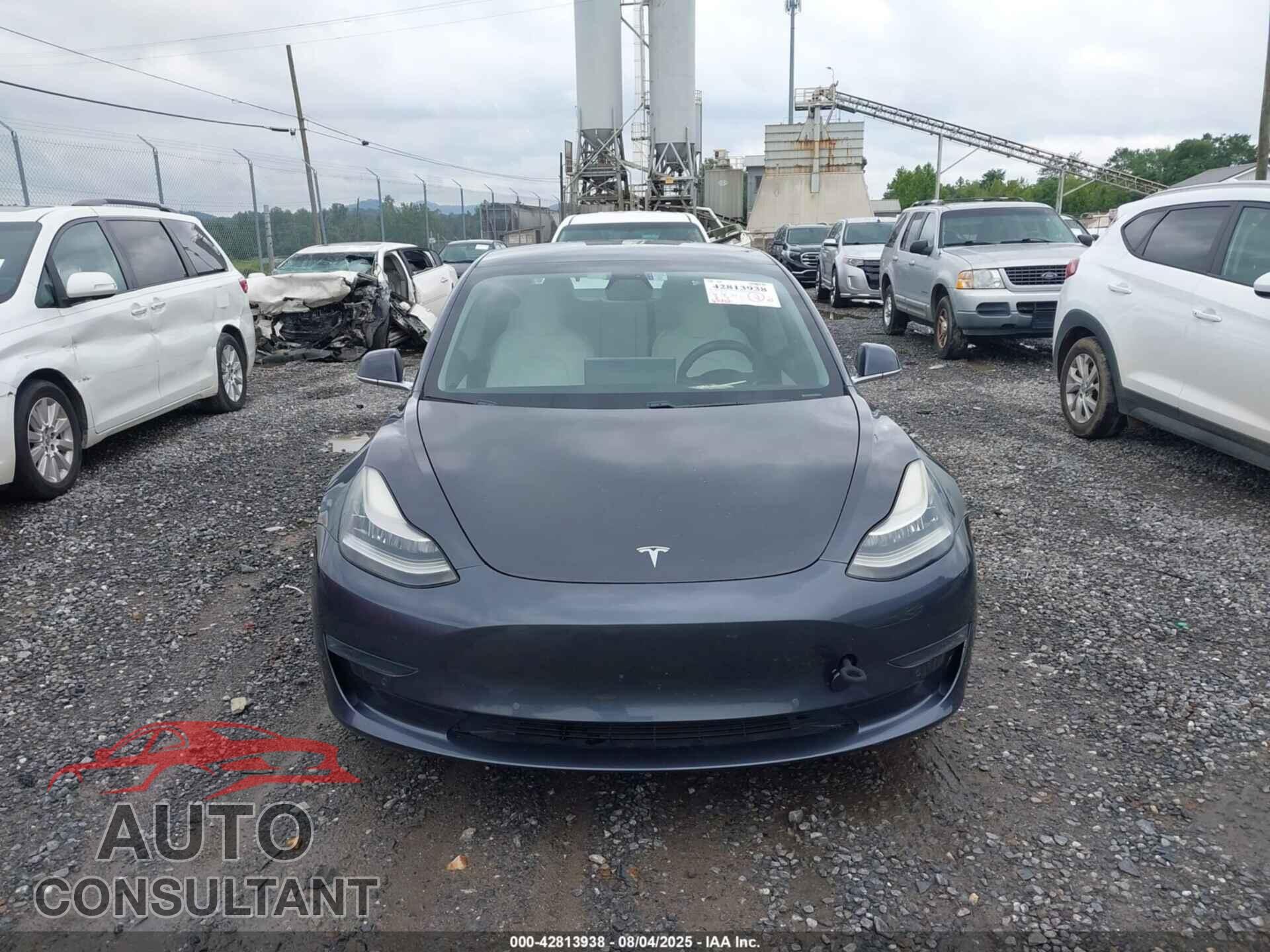 TESLA MODEL 3 2019 - 5YJ3E1EA6KF531021