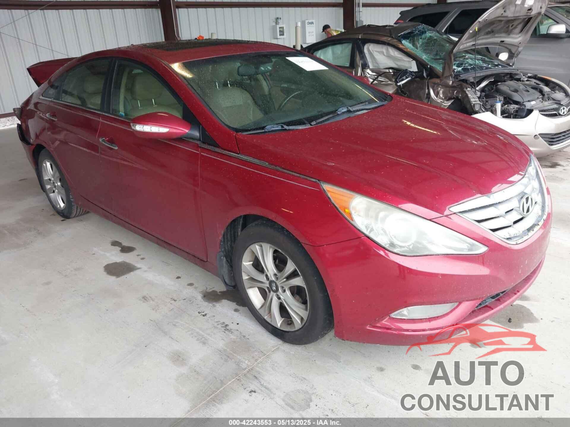 HYUNDAI SONATA 2011 - 5NPEC4ACXDH305525