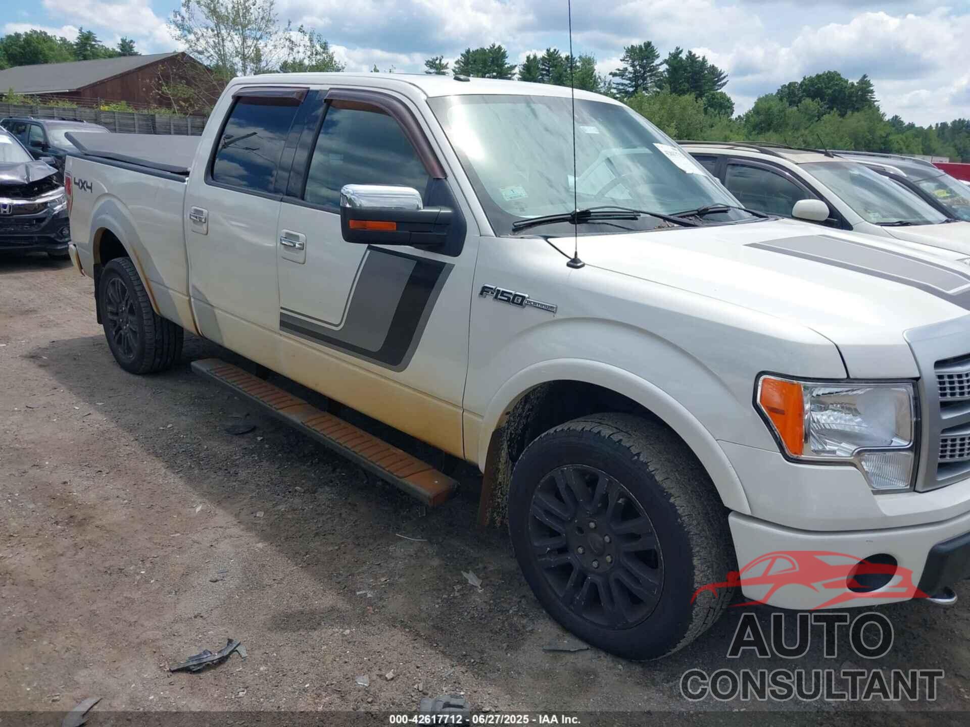 FORD F-150 2010 - 1FTFW1EVXAFD58384