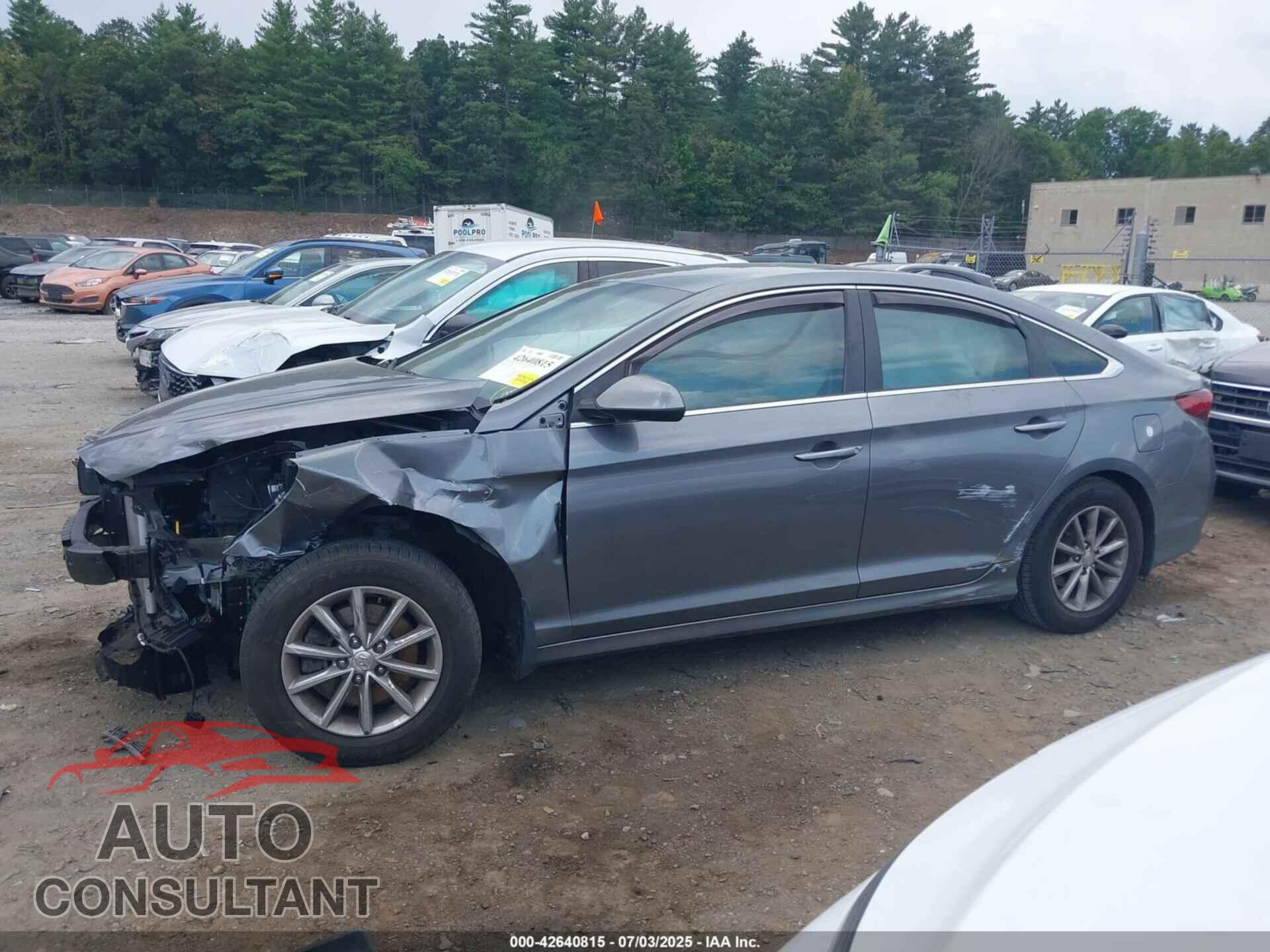 HYUNDAI SONATA 2019 - 5NPE24AF2KH816093