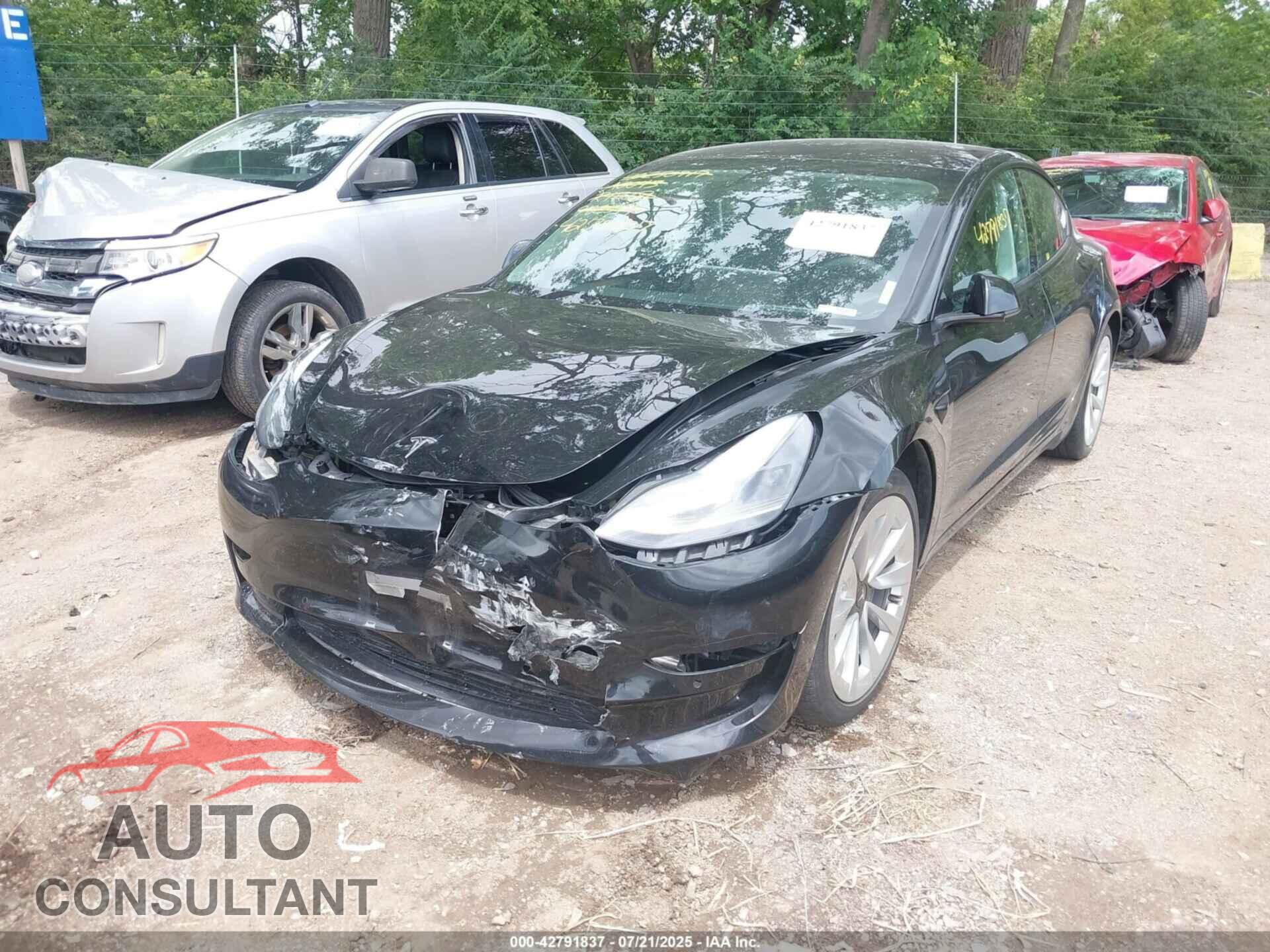 TESLA MODEL 3 2021 - 5YJ3E1EA2MF982594