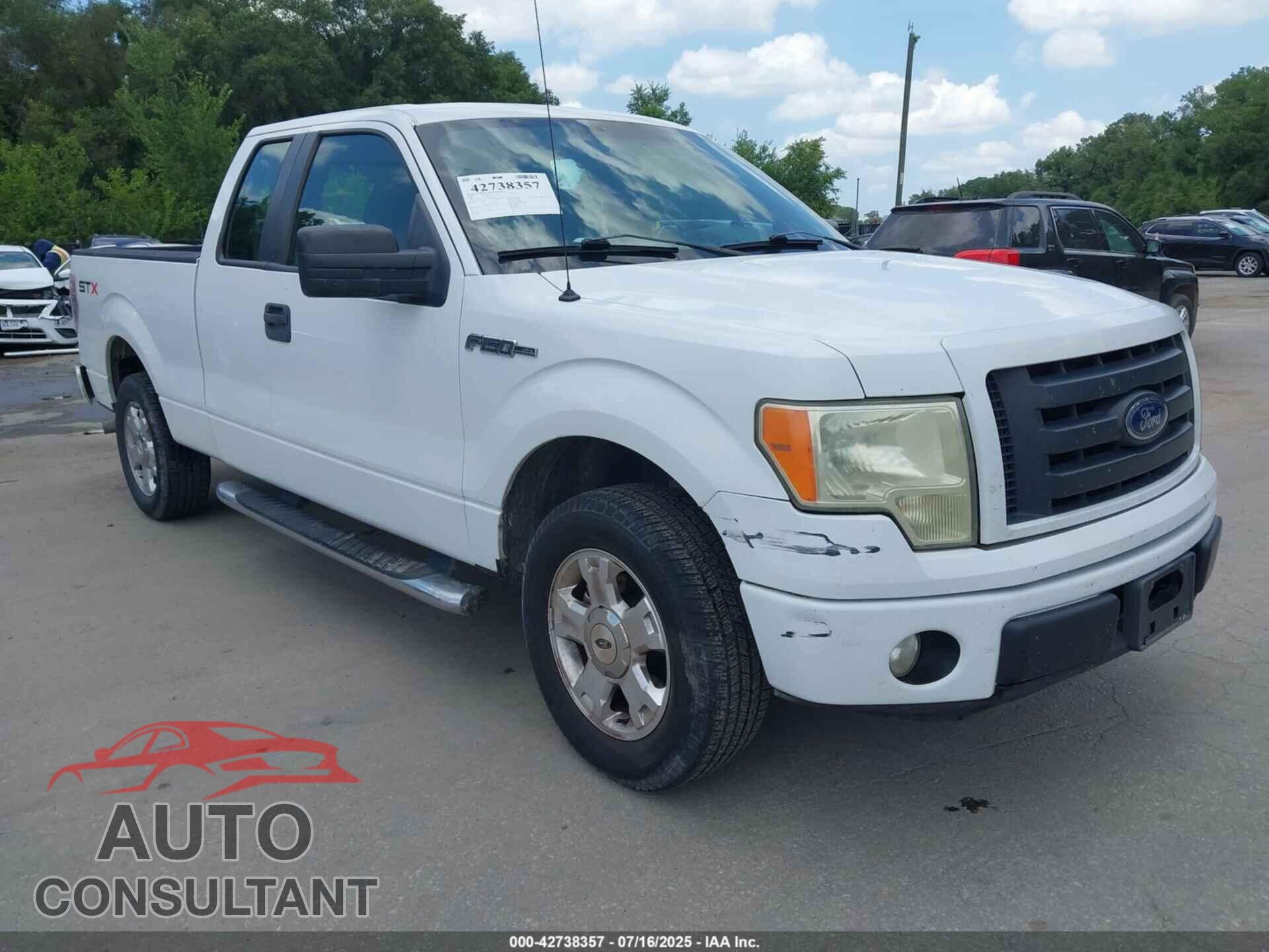 FORD F-150 2009 - 1FTRX12819FB49264