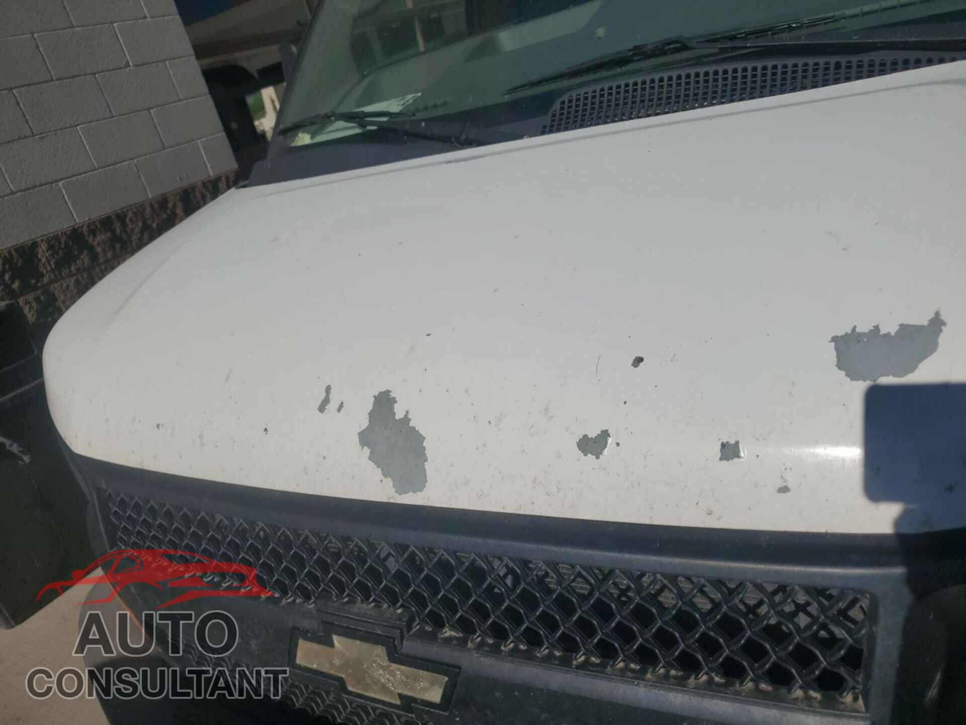 CHEVROLET EXPRESS G2500 2013 - 1GCWGFCA1D1138885
