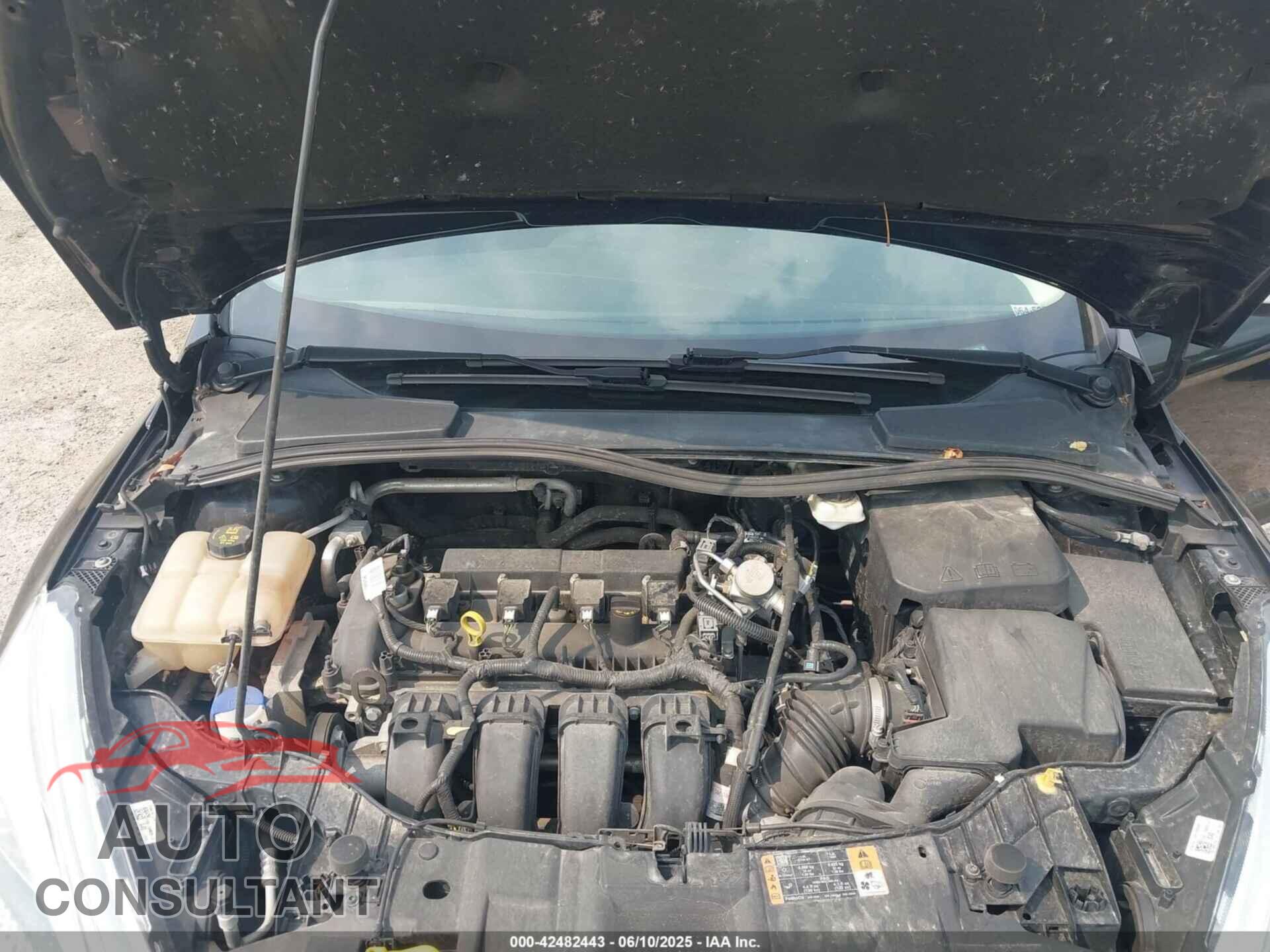 FORD FOCUS 2017 - 1FADP3F24HL346463