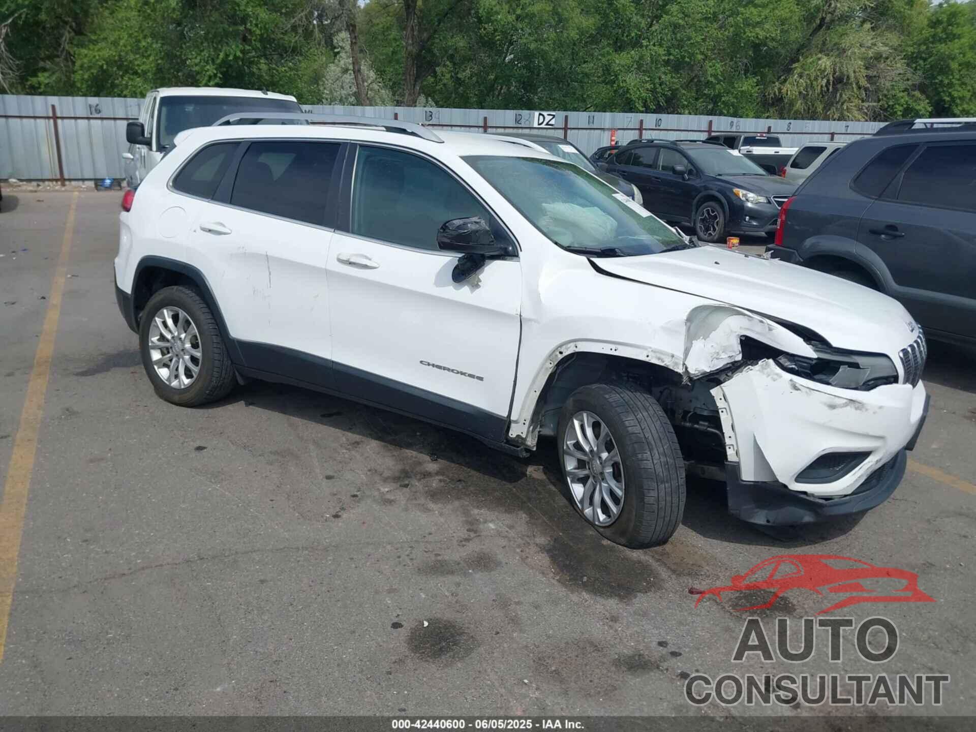 JEEP CHEROKEE 2019 - 1C4PJLCB2KD240611
