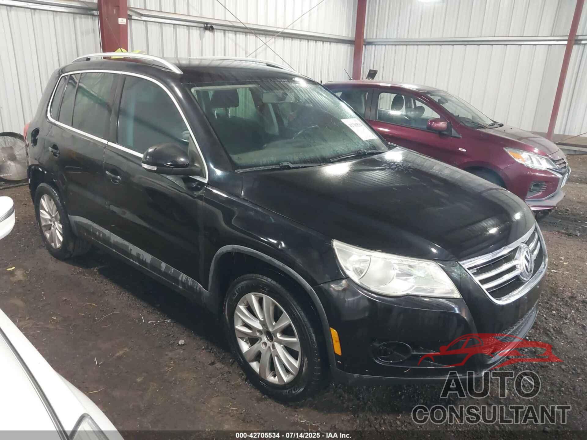 VOLKSWAGEN TIGUAN 2009 - WVGAV75N39W500663