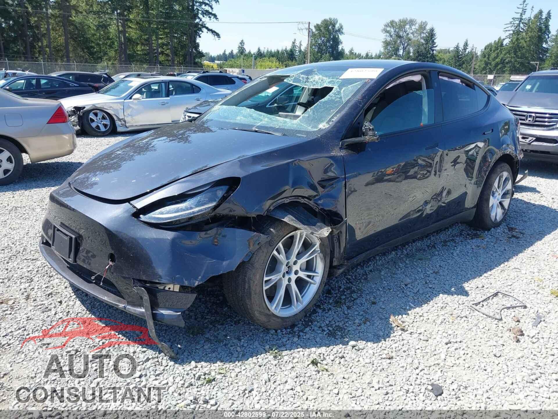 TESLA MODEL Y 2024 - 7SAYGDEE2RF075343