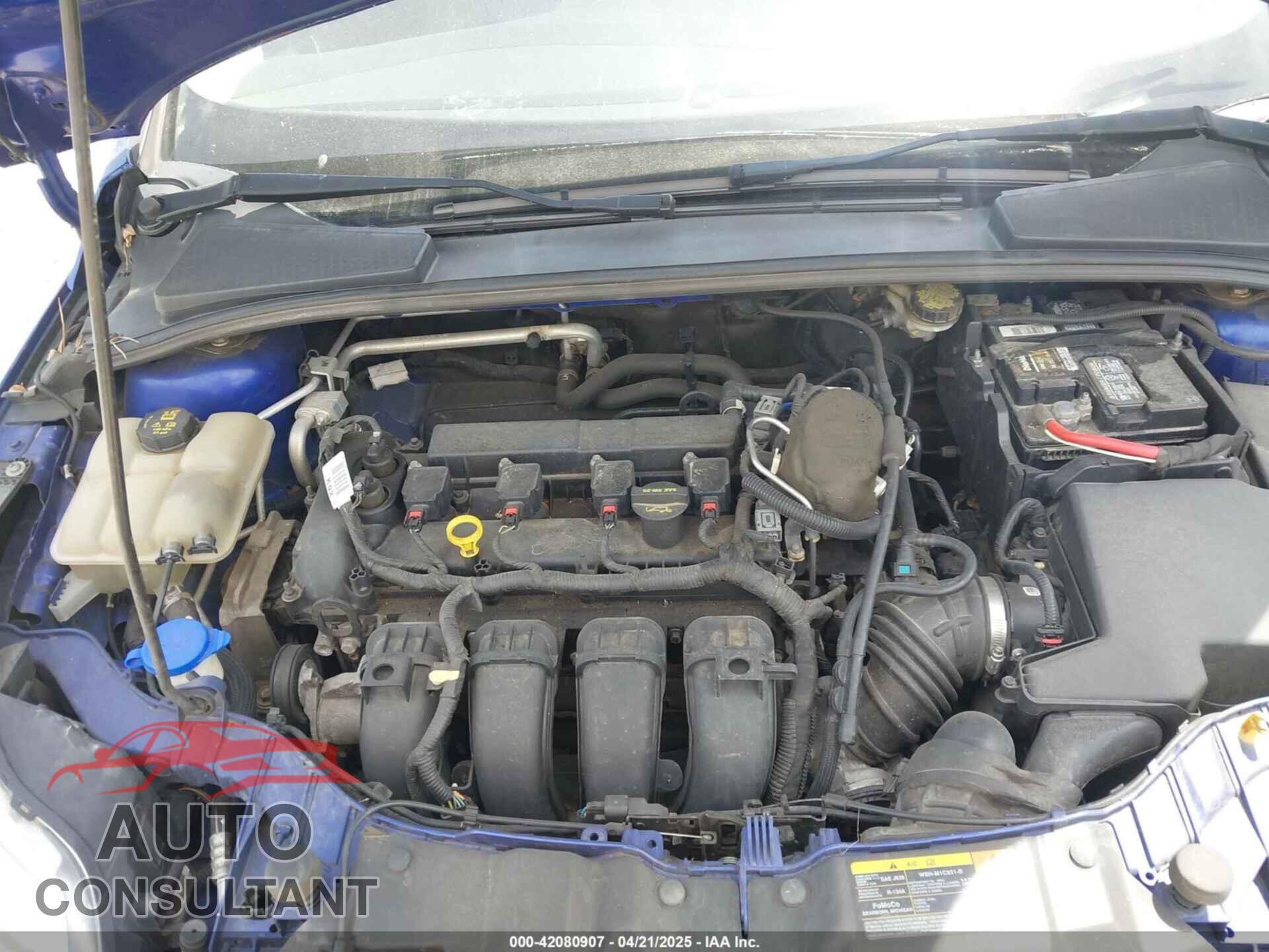FORD FOCUS 2014 - 1FADP3F23EL205640