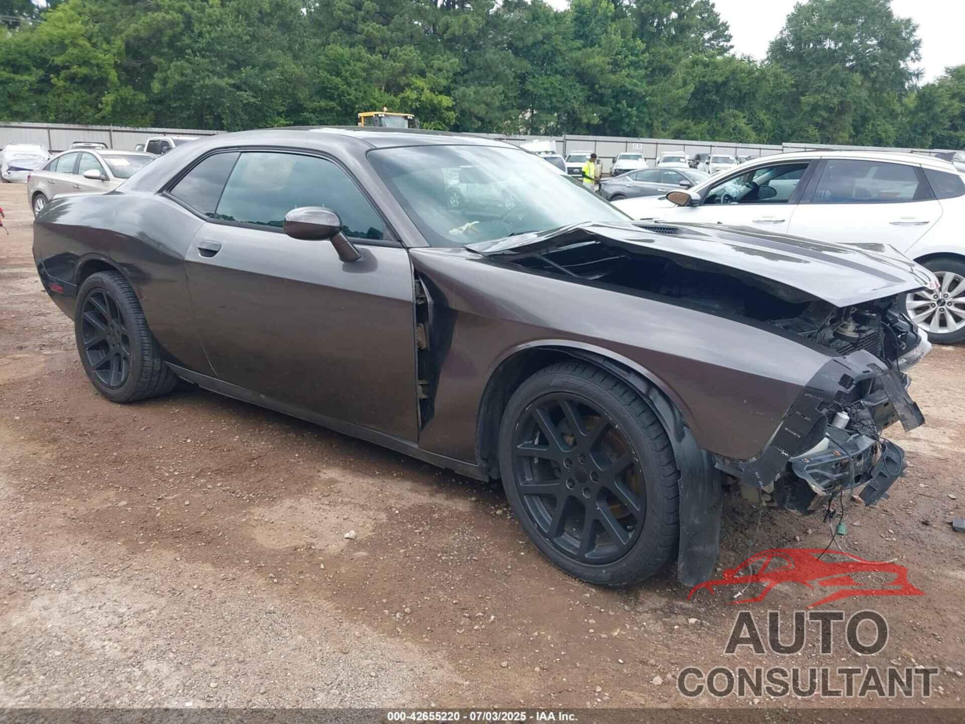 DODGE CHALLENGER 2013 - 2C3CDYBT3DH635596