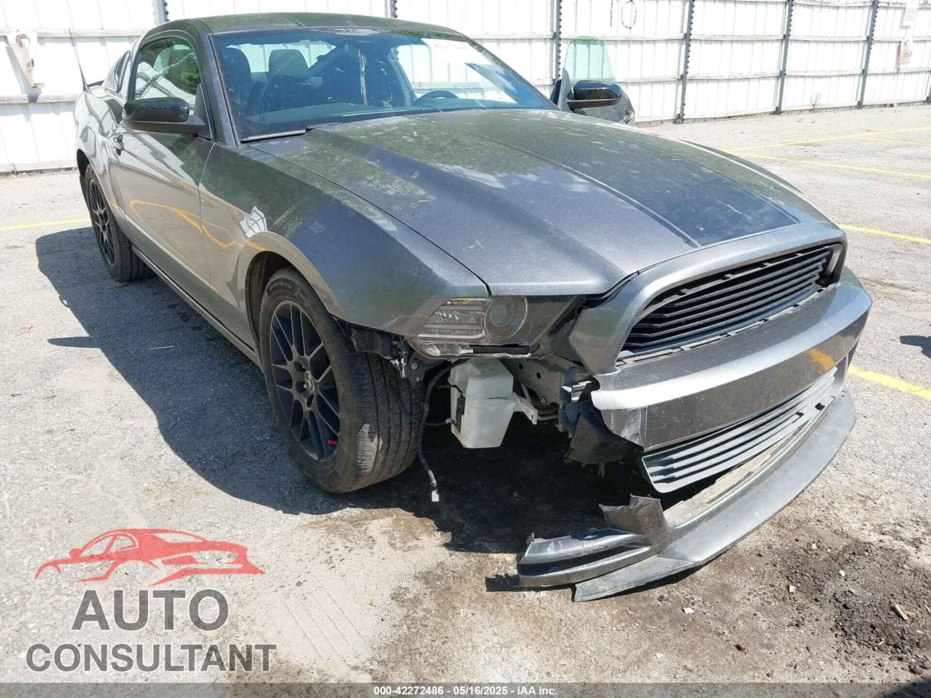 FORD MUSTANG 2014 - 1ZVBP8AM4E5334334