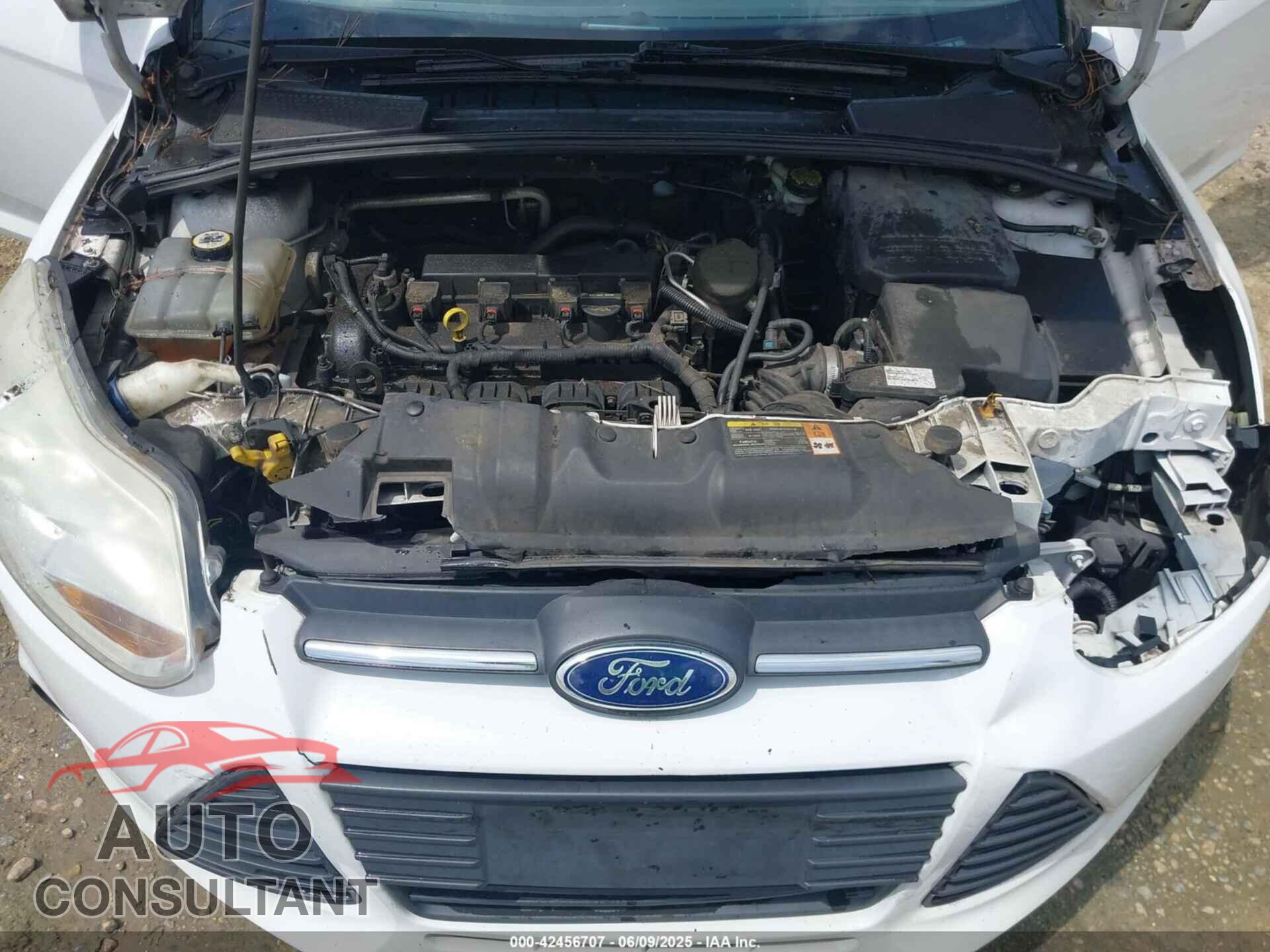 FORD FOCUS 2013 - 1FADP3F27DL331546