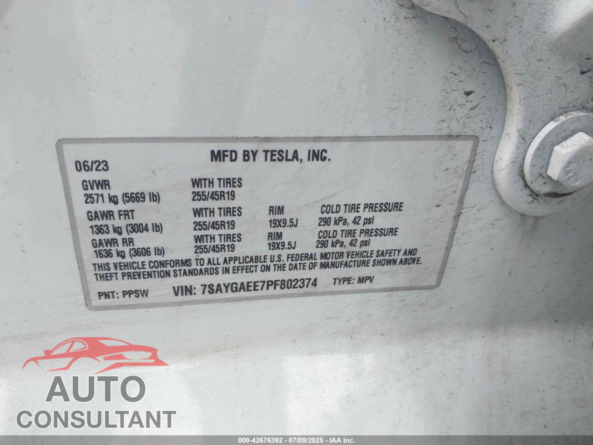 TESLA MODEL Y 2023 - 7SAYGAEE7PF802374