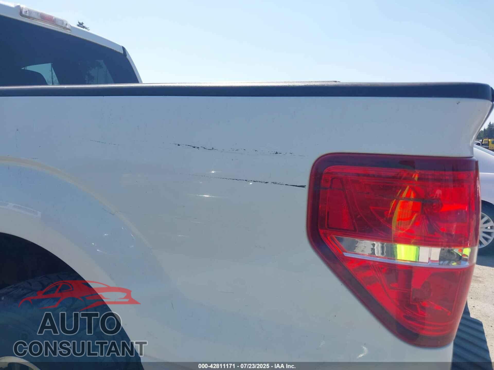 FORD F-150 2011 - 1FTFX1ET4BFC24161