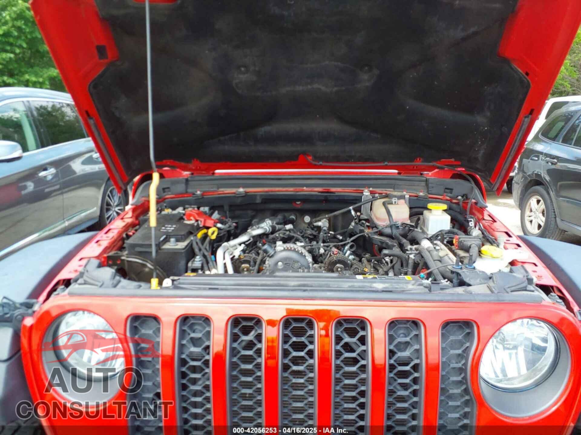 JEEP GLADIATOR 2021 - 1C6JJTEG6ML533927