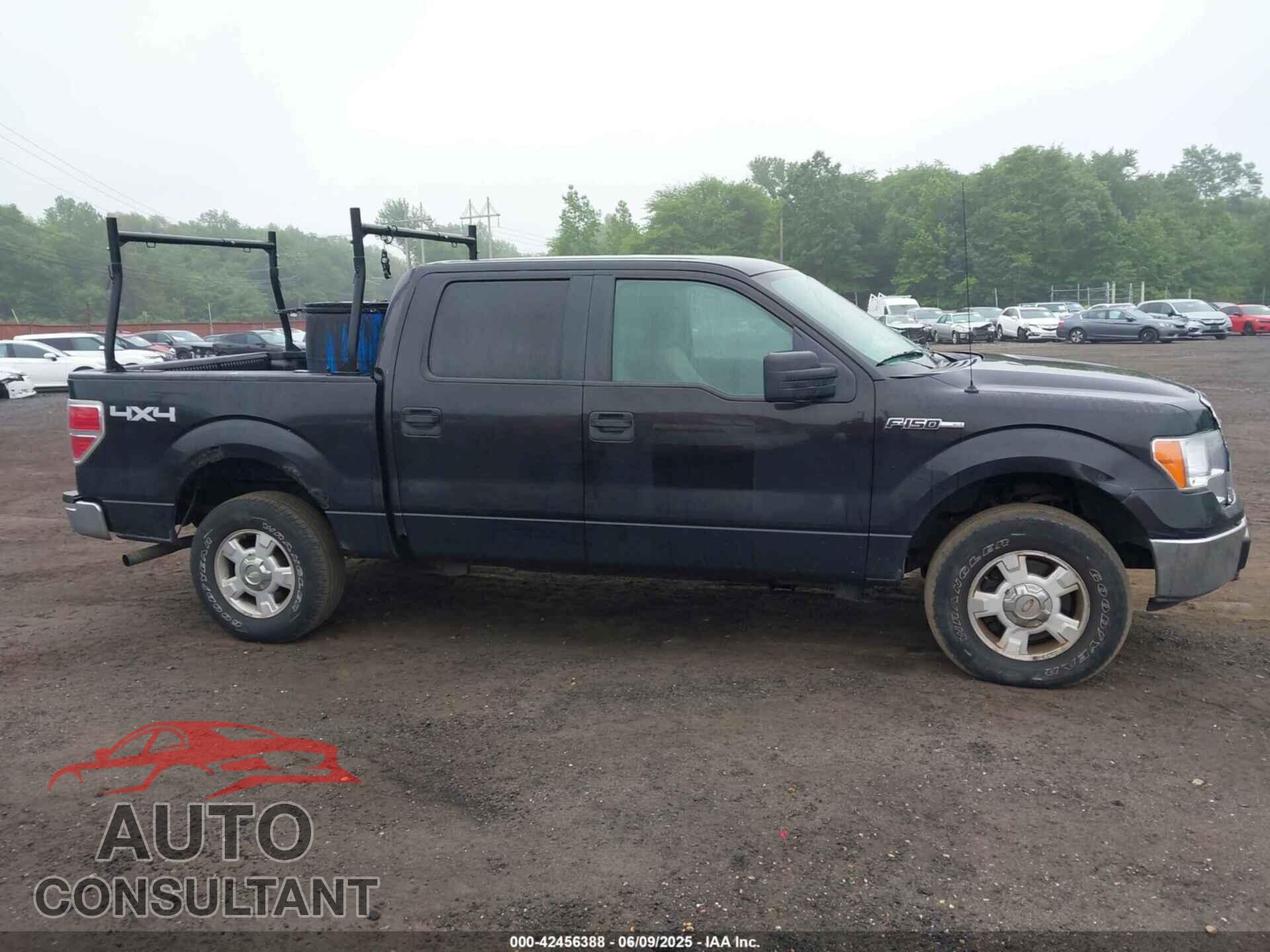 FORD F-150 2010 - 1FTEW1E84AFA54957