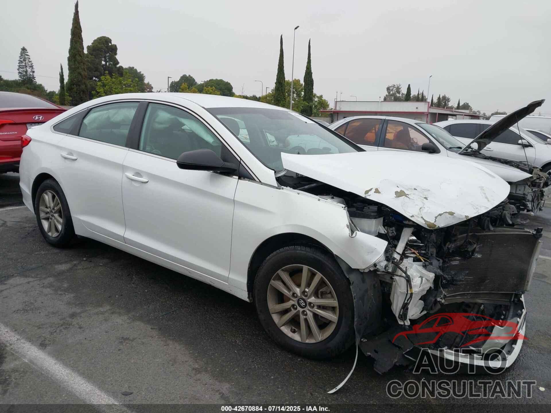 HYUNDAI SONATA 2016 - 5NPE24AF9GH266642