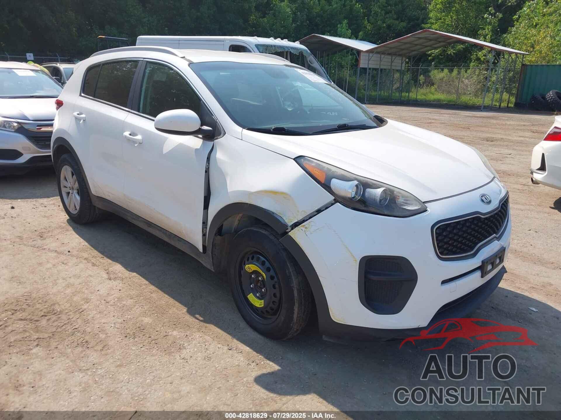 KIA SPORTAGE 2017 - KNDPM3AC3H7036331