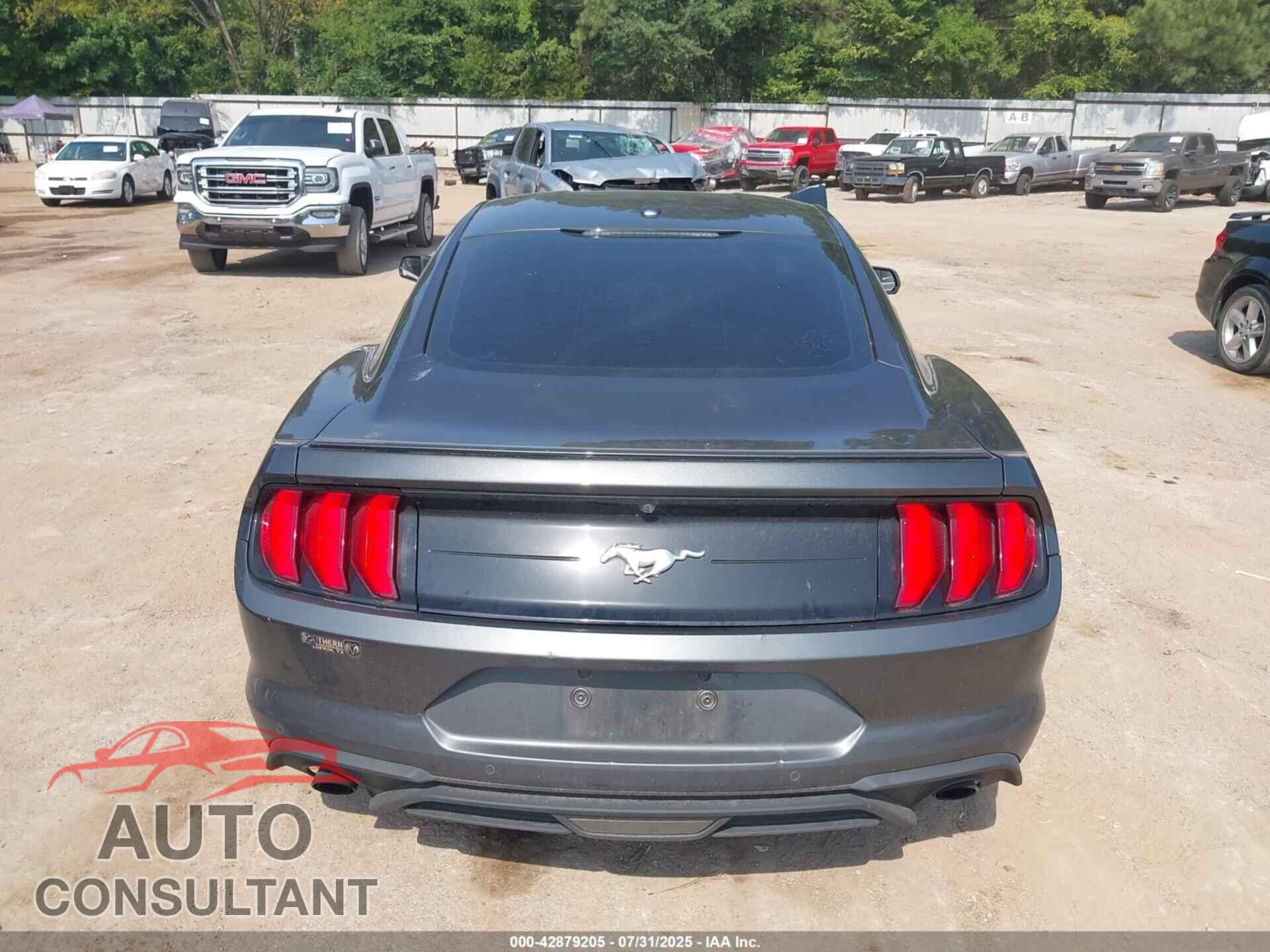 FORD MUSTANG 2019 - 1FA6P8TH1K5204257