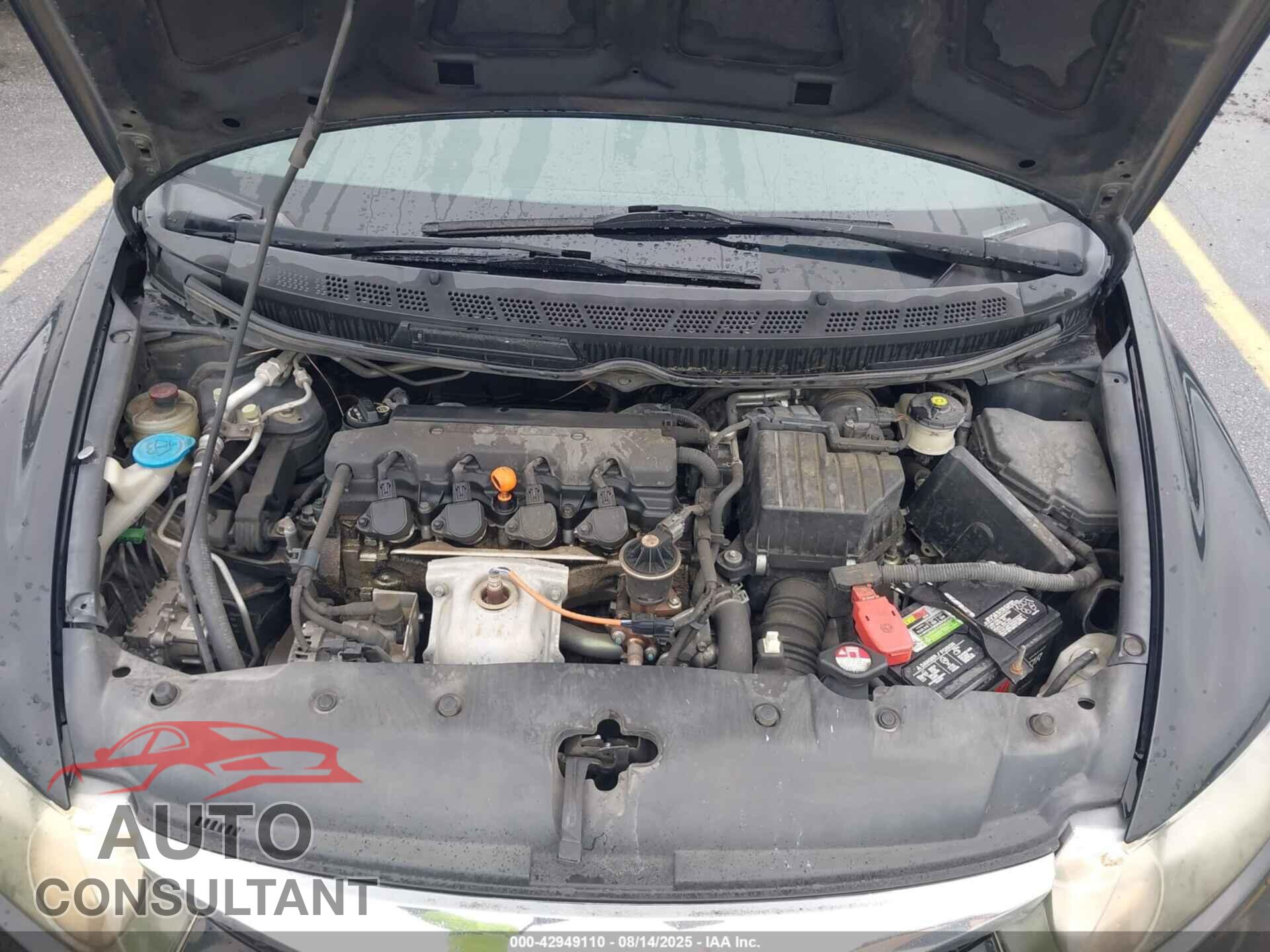 HONDA CIVIC 2011 - 19XFA1F5XBE006074