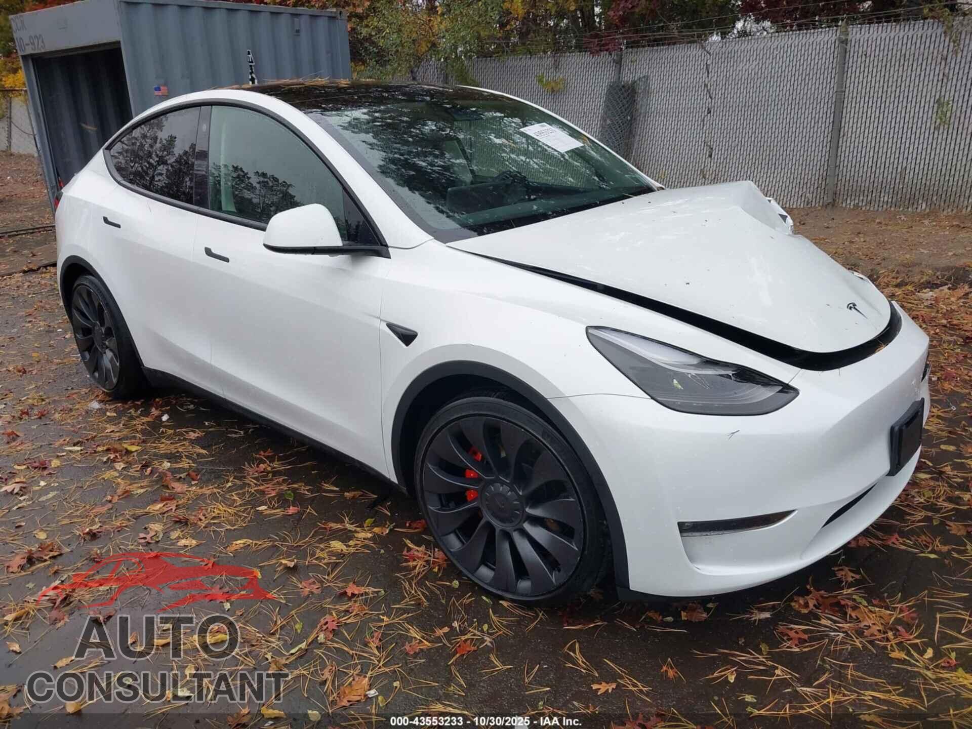 TESLA MODEL Y 2023 - 7SAYGDEF8PF778726