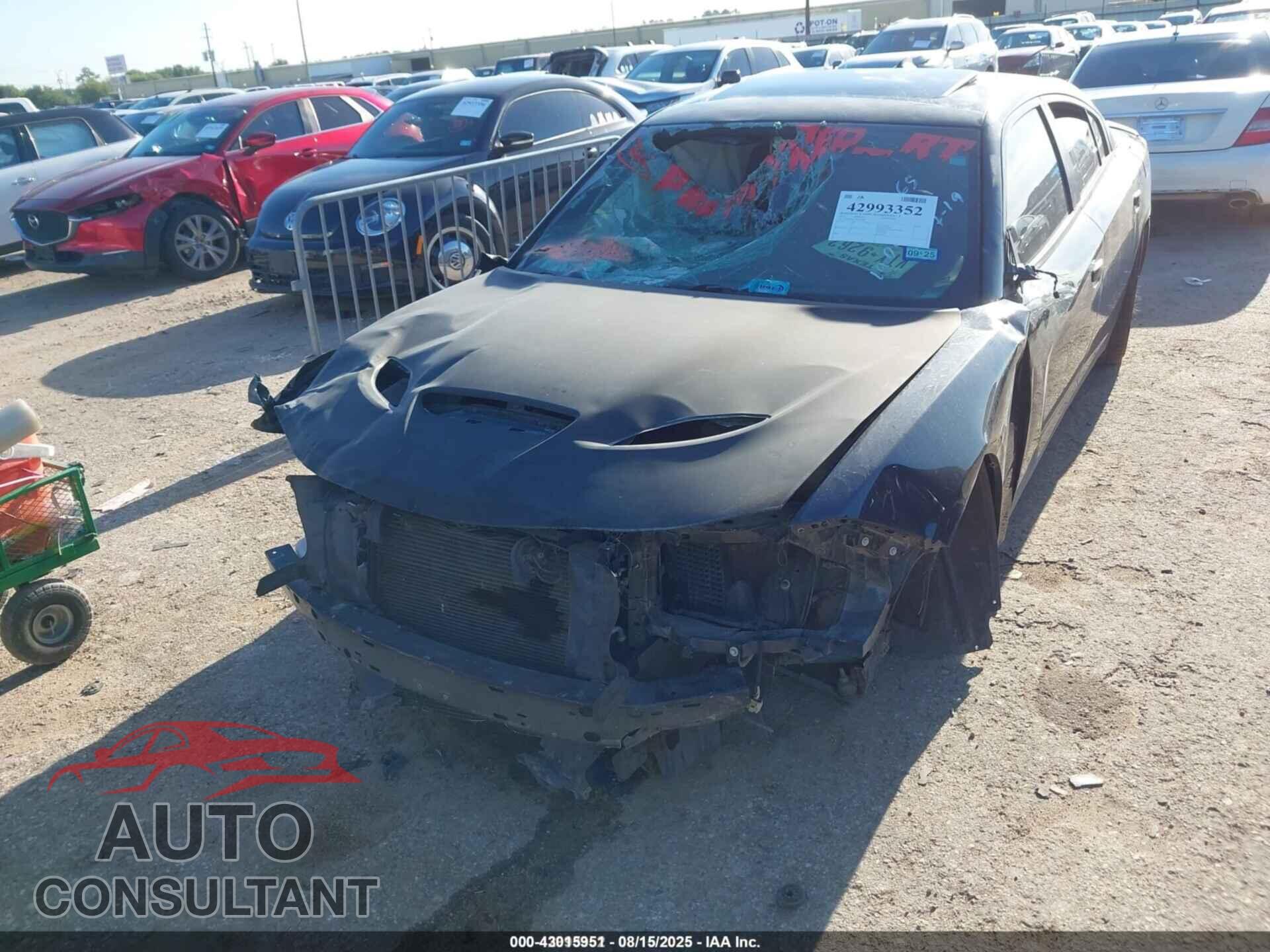 DODGE CHARGER 2015 - 2C3CDXCT2FH857865