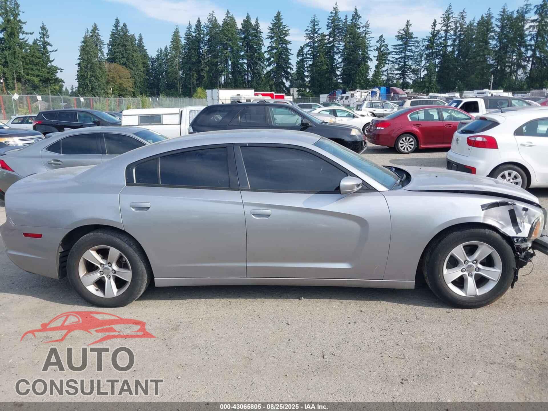 DODGE CHARGER 2014 - 2C3CDXHG2EH146399