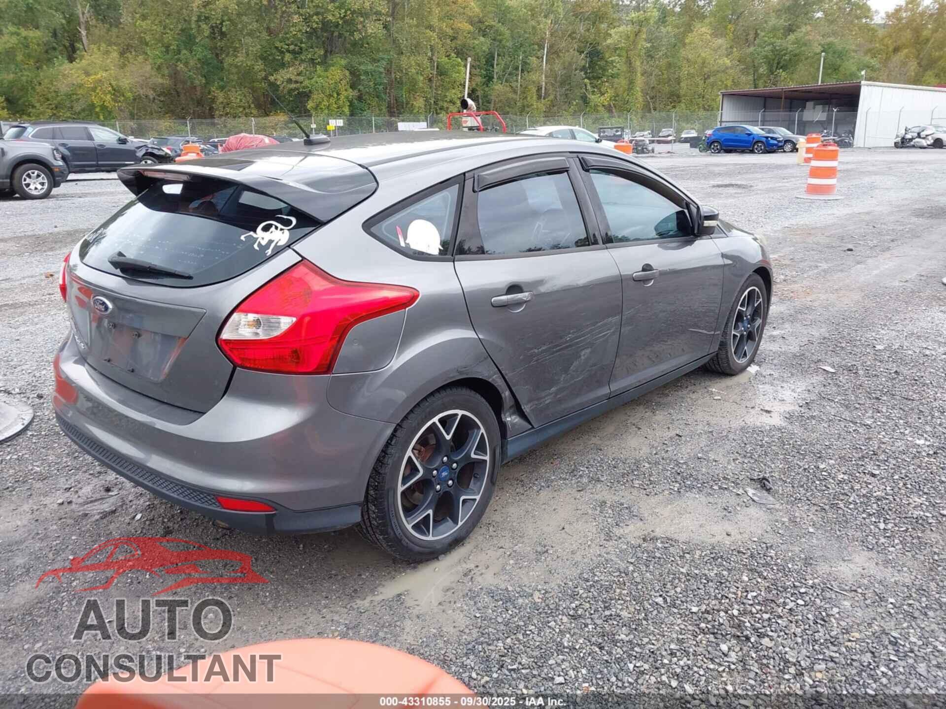 FORD FOCUS 2013 - 1FADP3K29DL181896