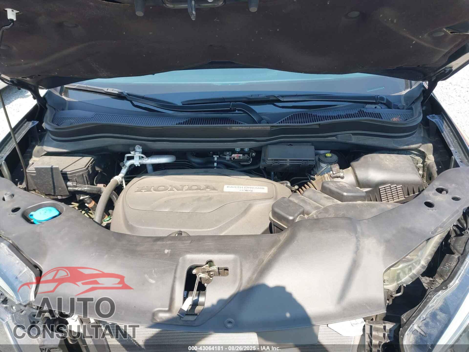HONDA PILOT 2019 - 5FNYF6H54KB036802